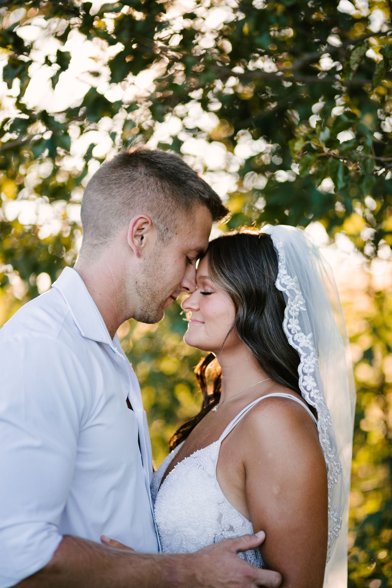 An intimate wedding portrait session under golden sunlit trees.
