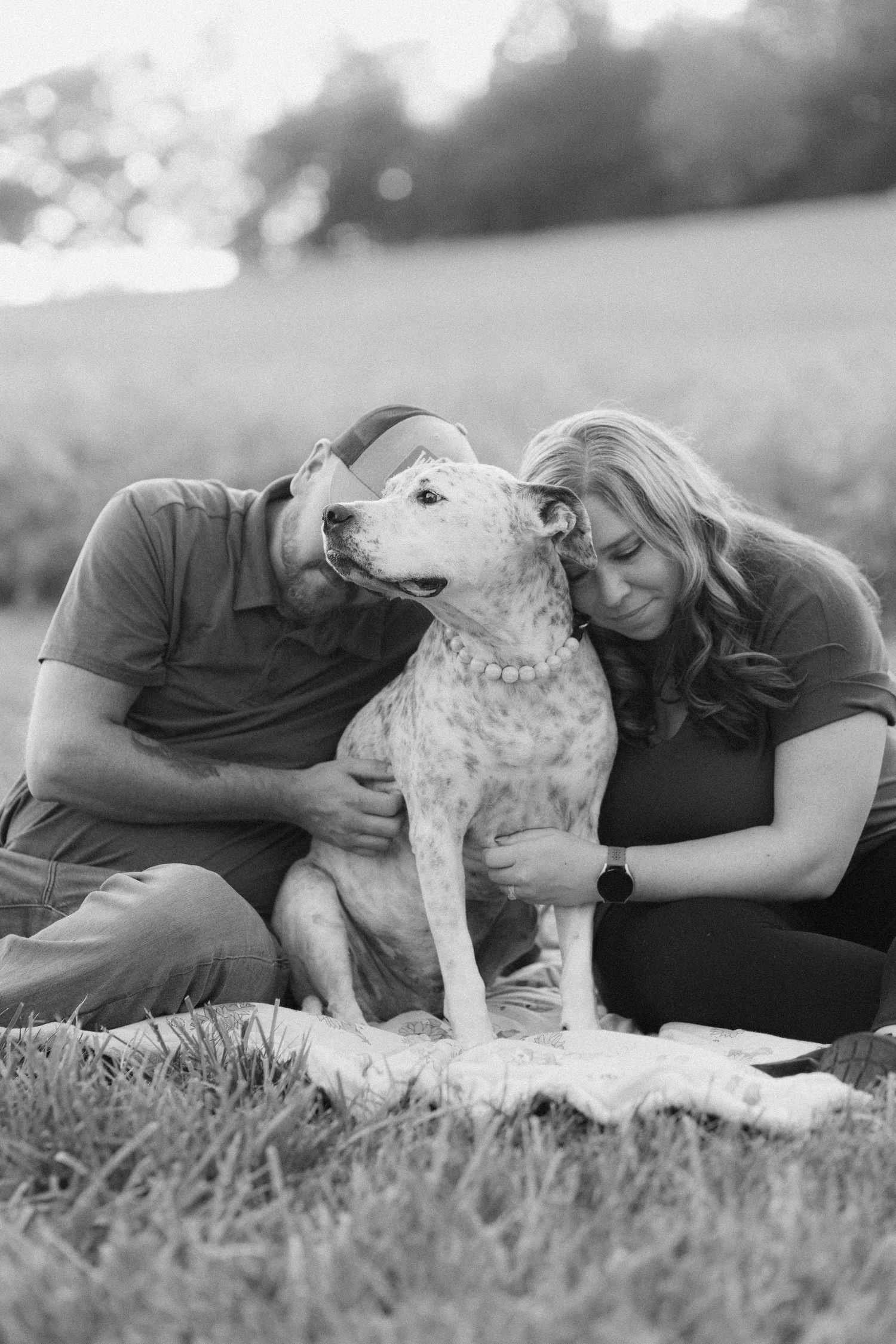 Spotted dog sharing an intimate moment with owners on a grassy hillside at sunset.