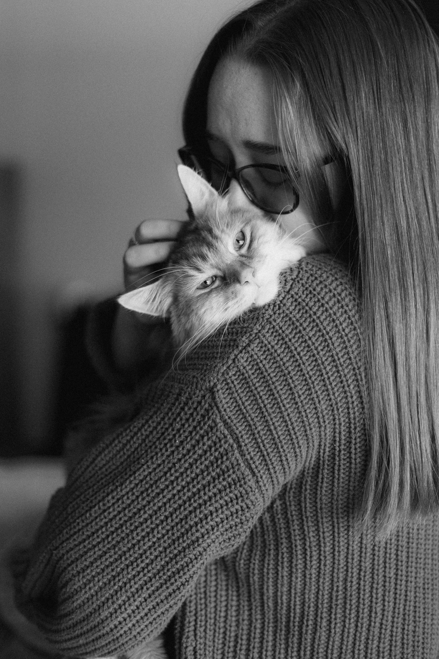 Black and white image of a cat nuzzling against a knit sweater.