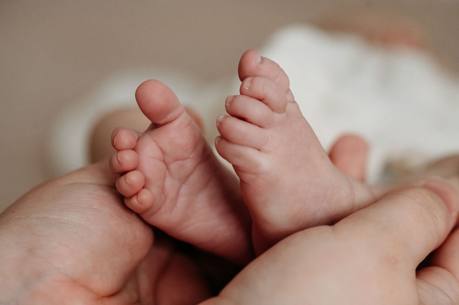 Close-up view of newborn baby feet withnatural lighting.