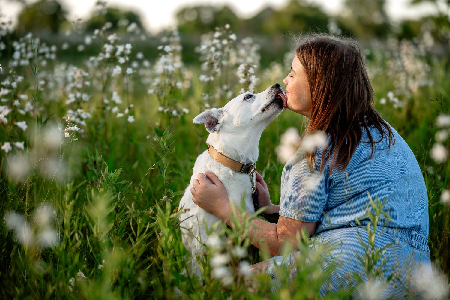 A woman sits in a wildflower field holding a white dog that licks her face in a tender outdoor moment.