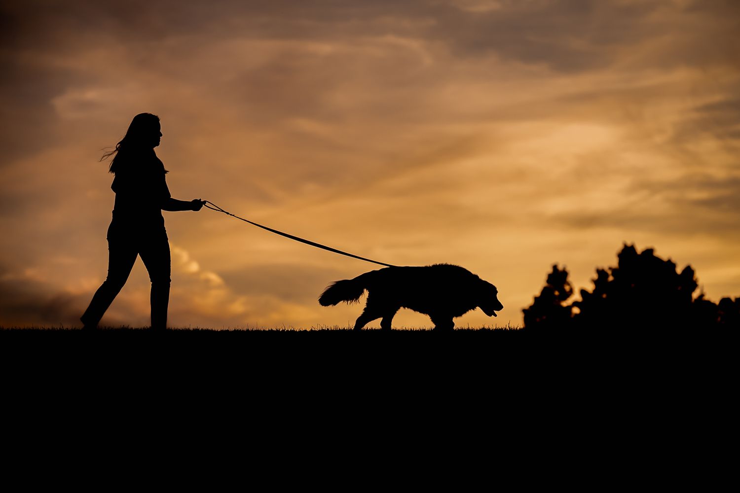 Silhouette of a woman walking a large dog on a leash against a dramatic golden sunset sky.