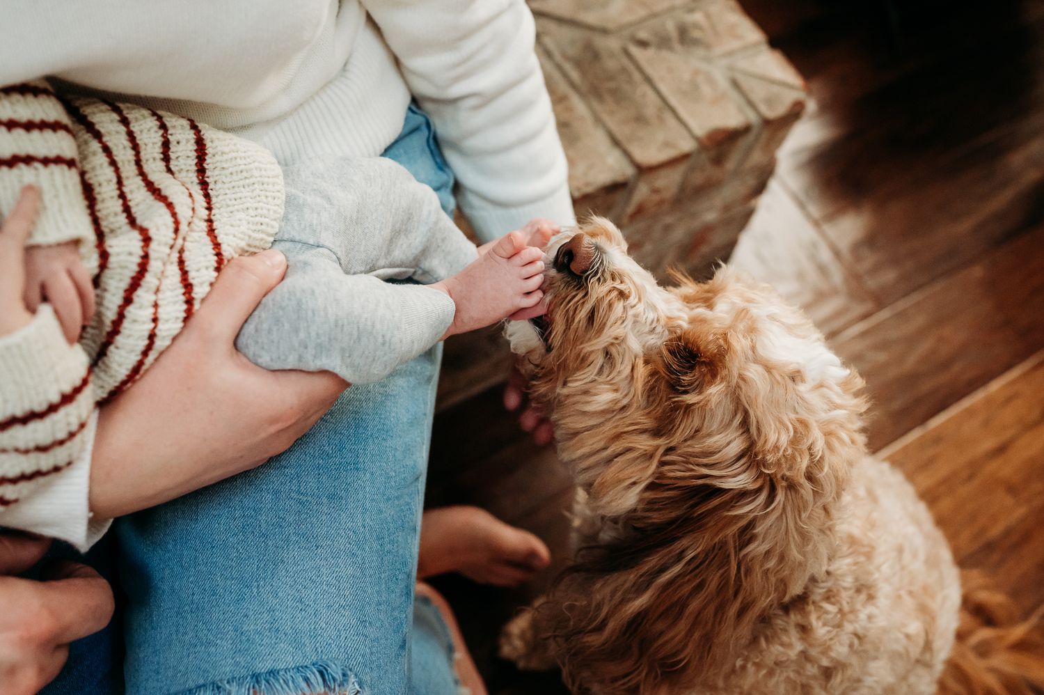 A small brown goldendoodle puppy plays licks baby's feet during Noblesville newborn picture session.