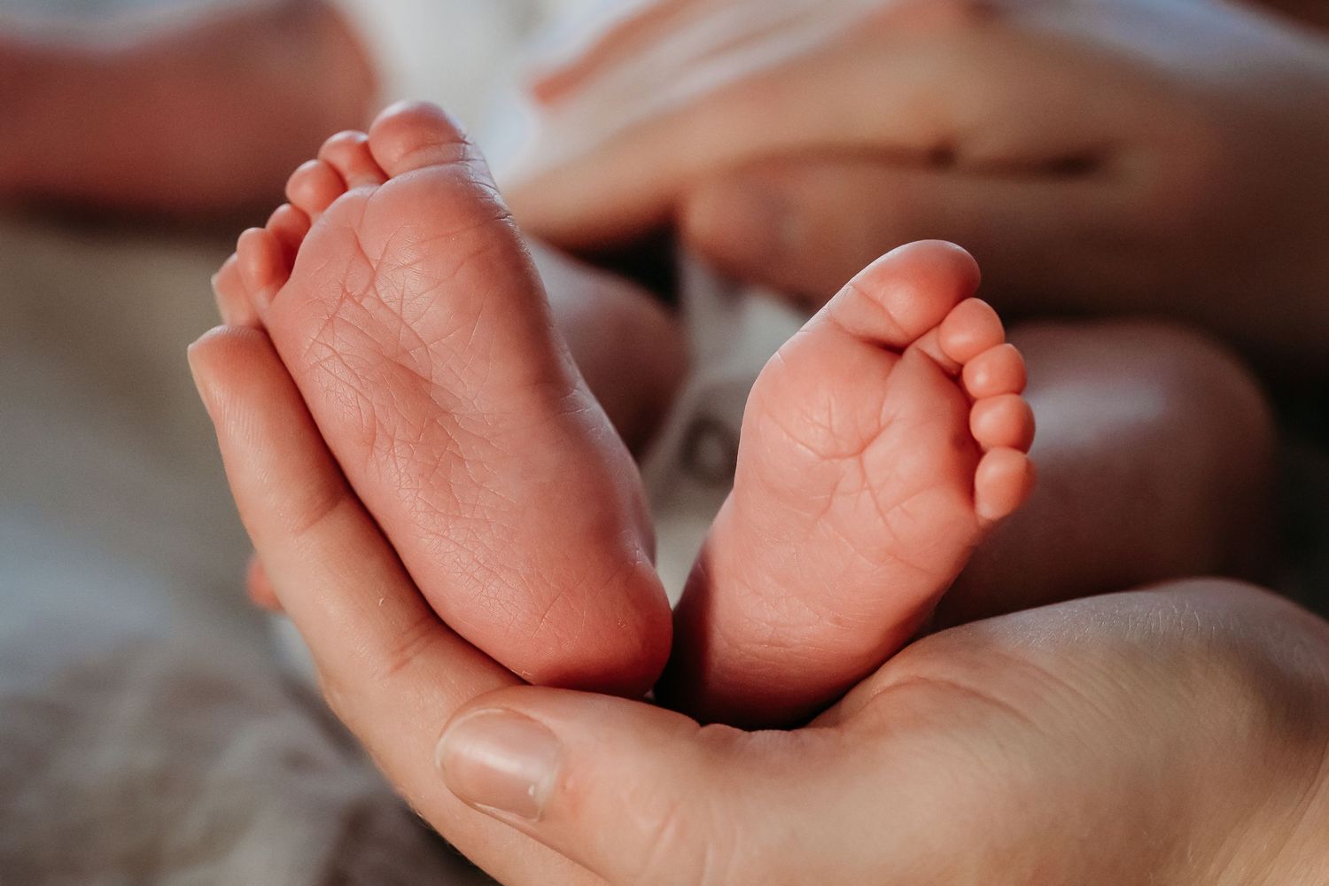Close-up of a newborn baby's tiny feet cradled gently in an adult's hands.