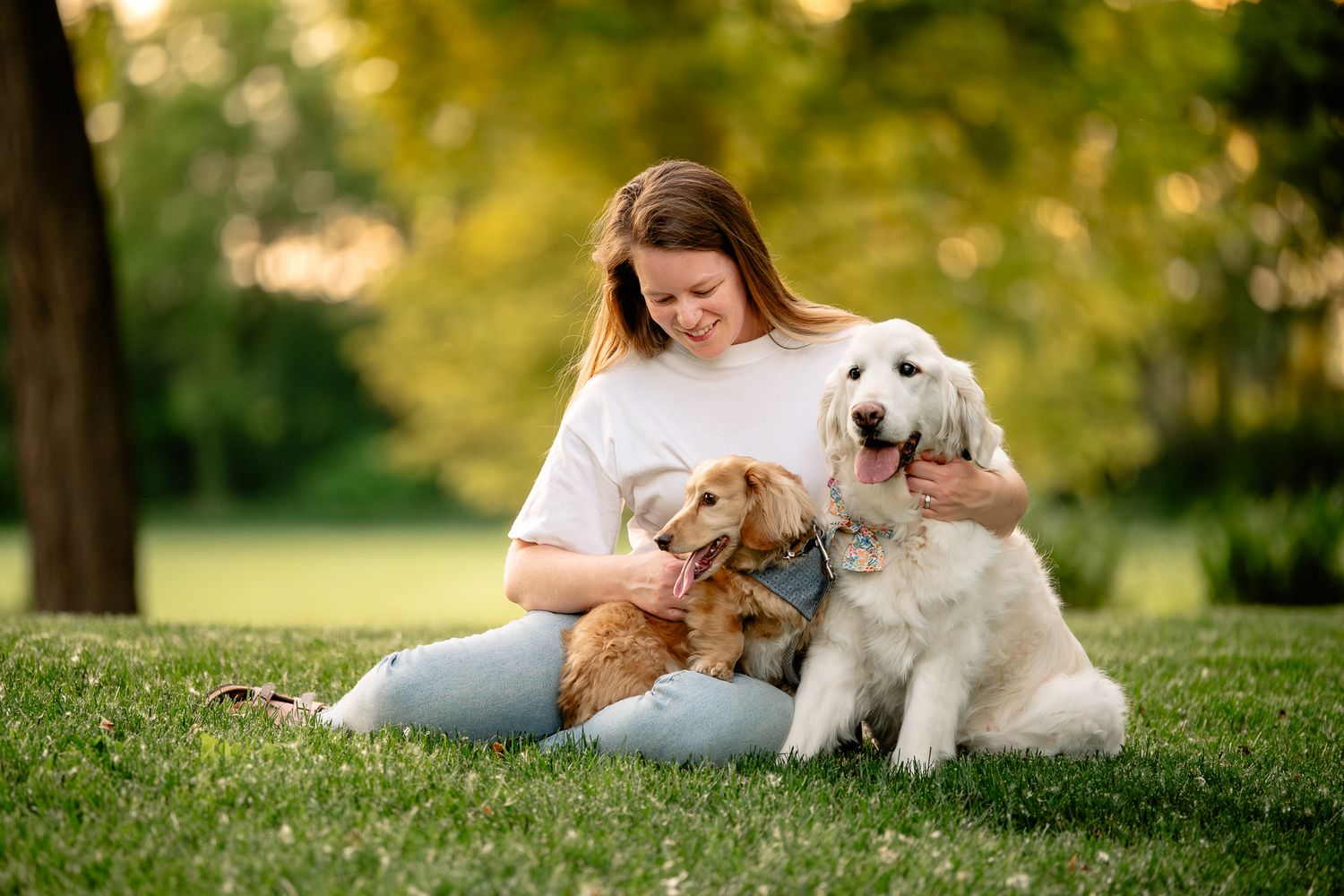 Woman sitting on grass in a park with two dogs, a golden retriever and a small dachshund, on a sunny day.