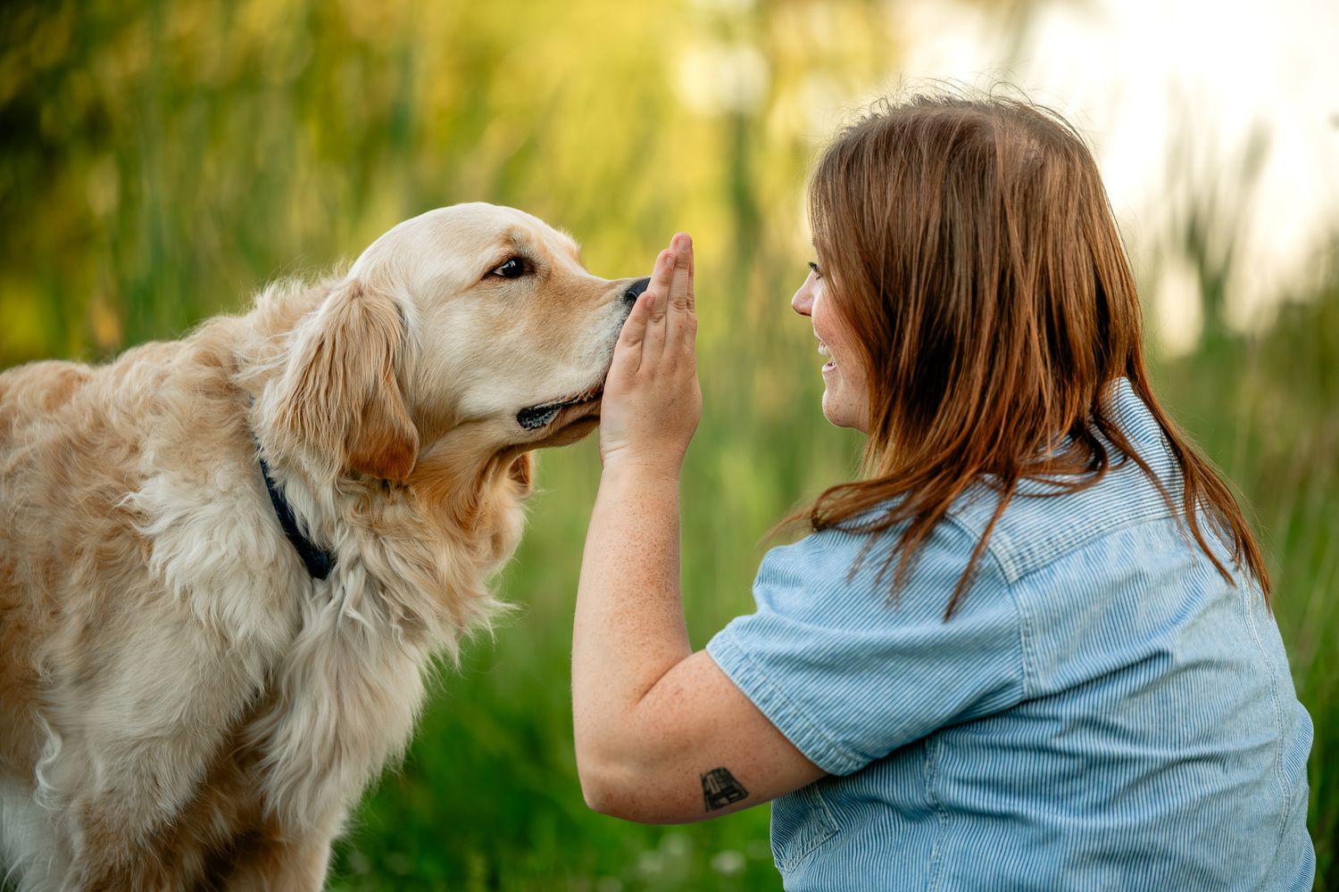 A woman in a blue shirt gives a high-five to a golden retriever outdoors in a lush green setting.