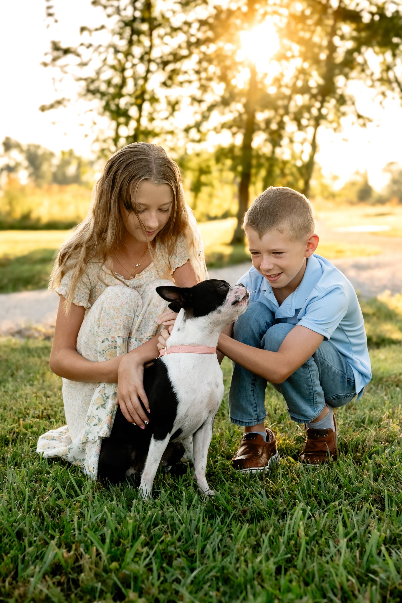 Two children petting a black and white Boston Terrier puppy on green grass during Plainfield sunrise photoshoot with Sara House Photography.