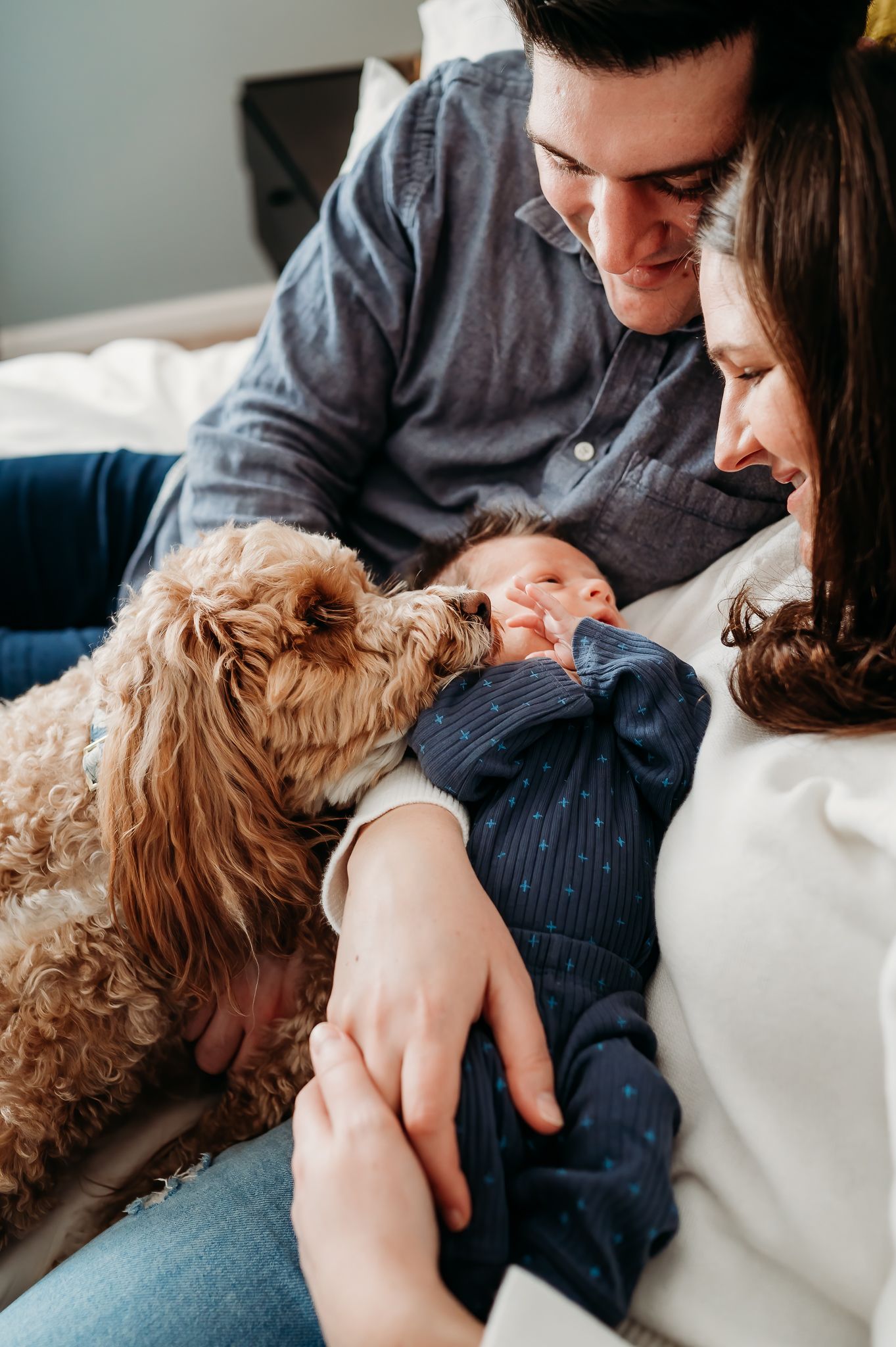 A goldendoodle dog curiously meets a newborn baby while parents rest together on a couch.