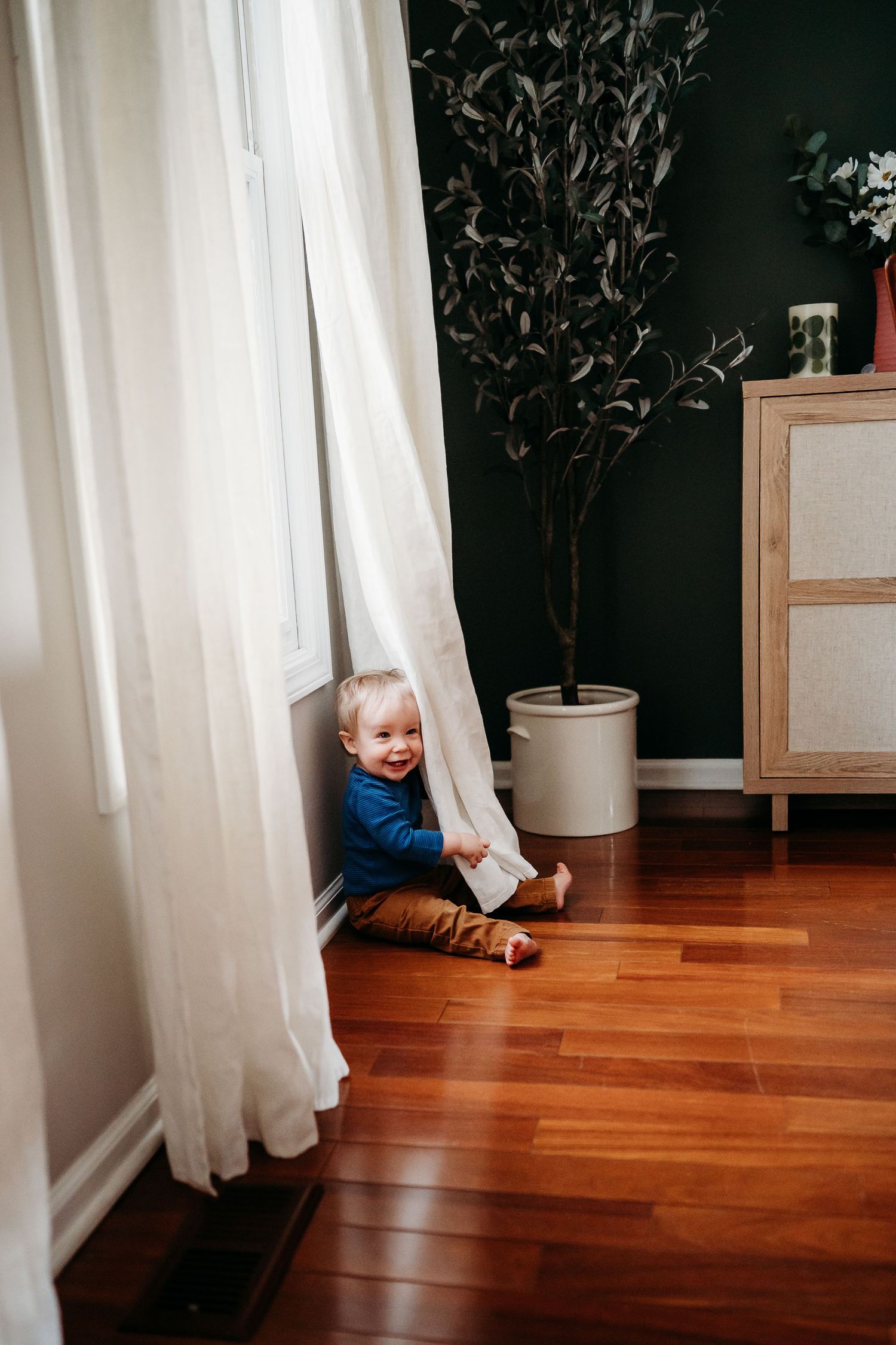 Smiling baby in blue shirt sitting on hardwood floor by white curtains near a potted tree and wooden dresser.