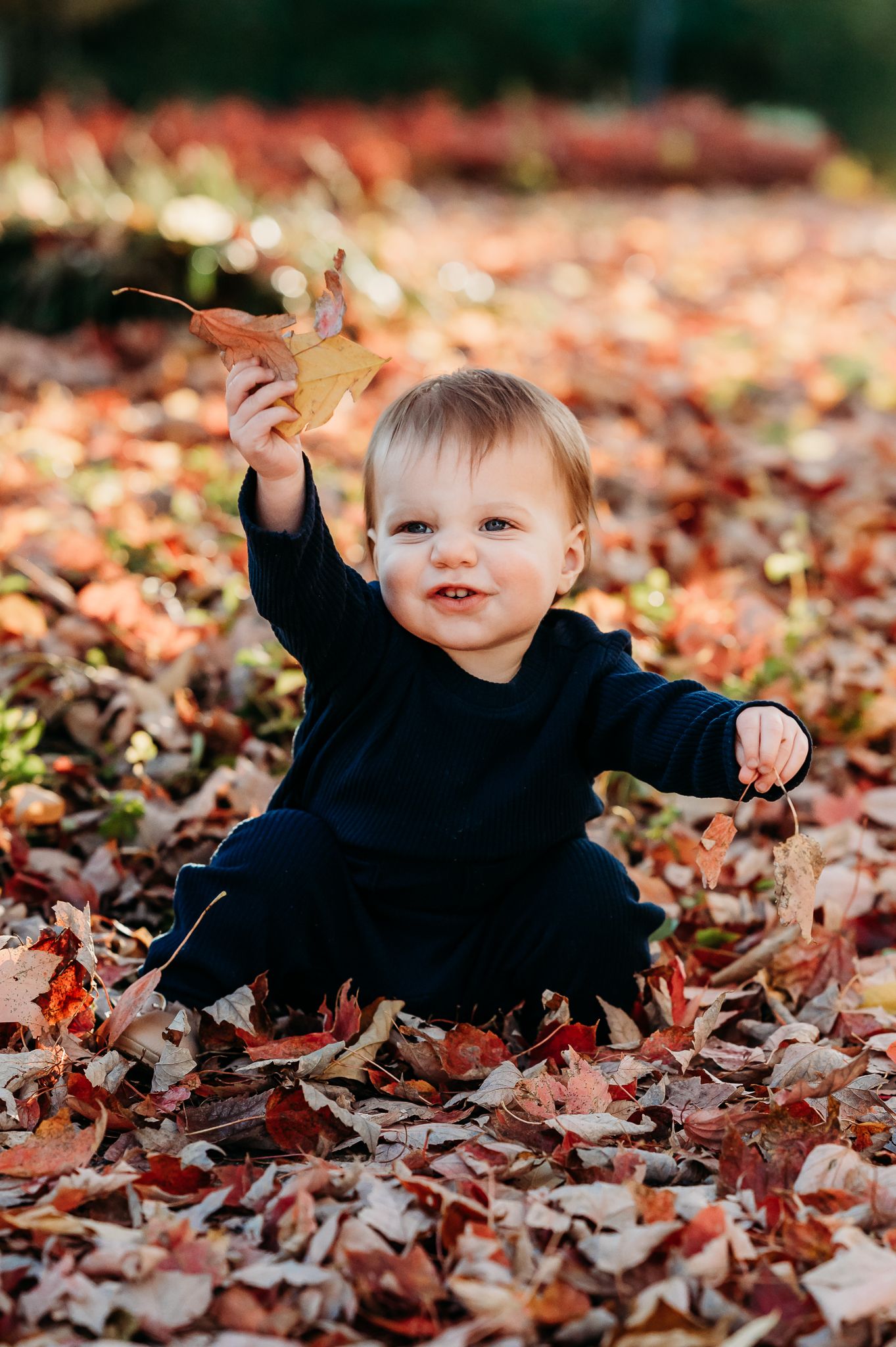 A small girl plays joyfully in a pile of colorful autumn leaves scattered across the ground  at Friendship Gardens in Plainfield.