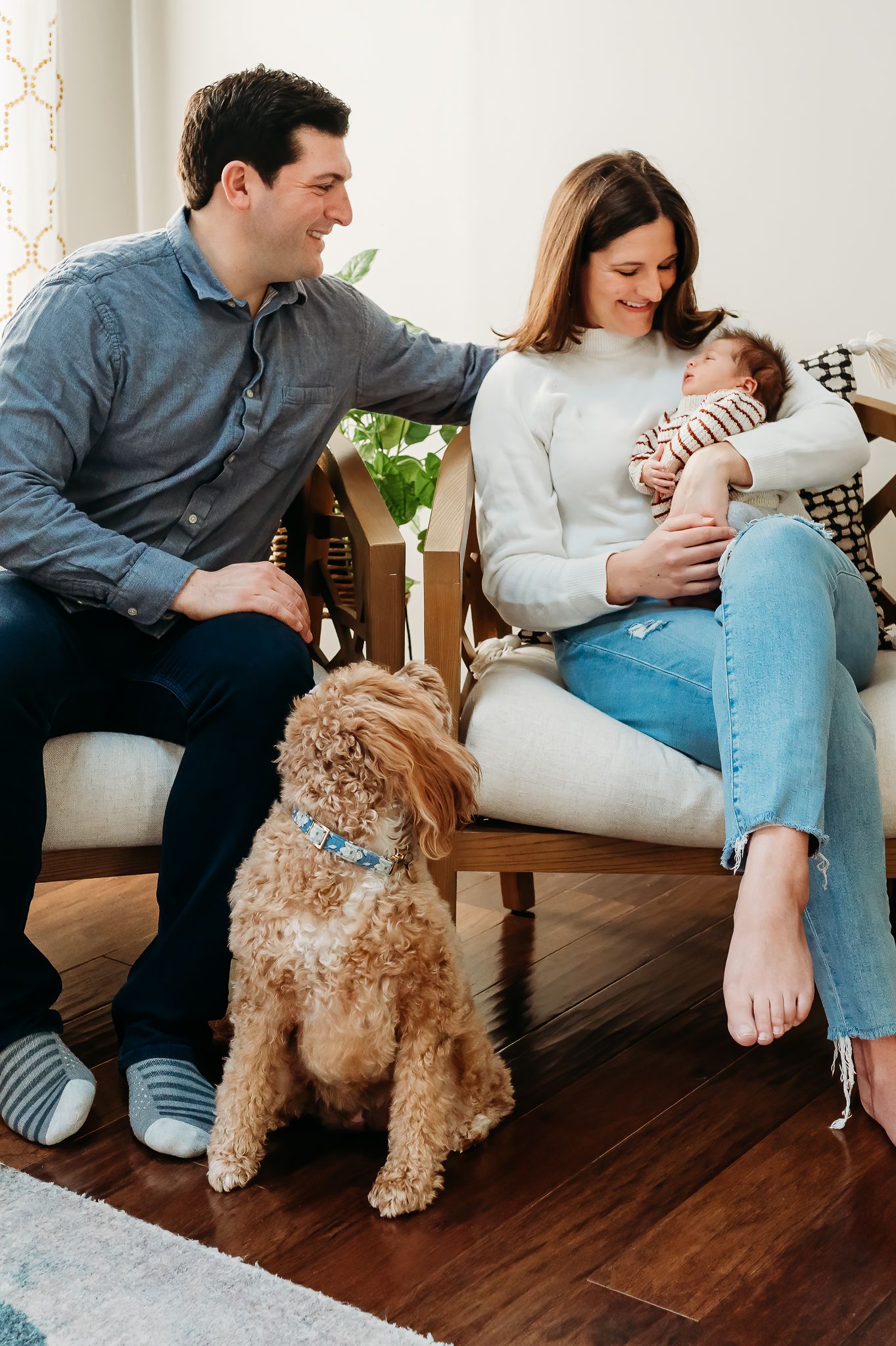 Couple sitting on couch with newborn baby and goldendoodle dog on hardwood floor in bright living room.
