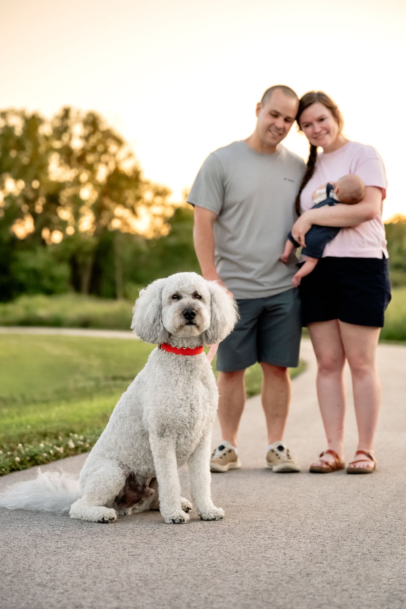 A couple with a newborn baby poses behind their white Sheepadoodle on a Danville, Indiana, park path at sunset with Sara House Photography.
