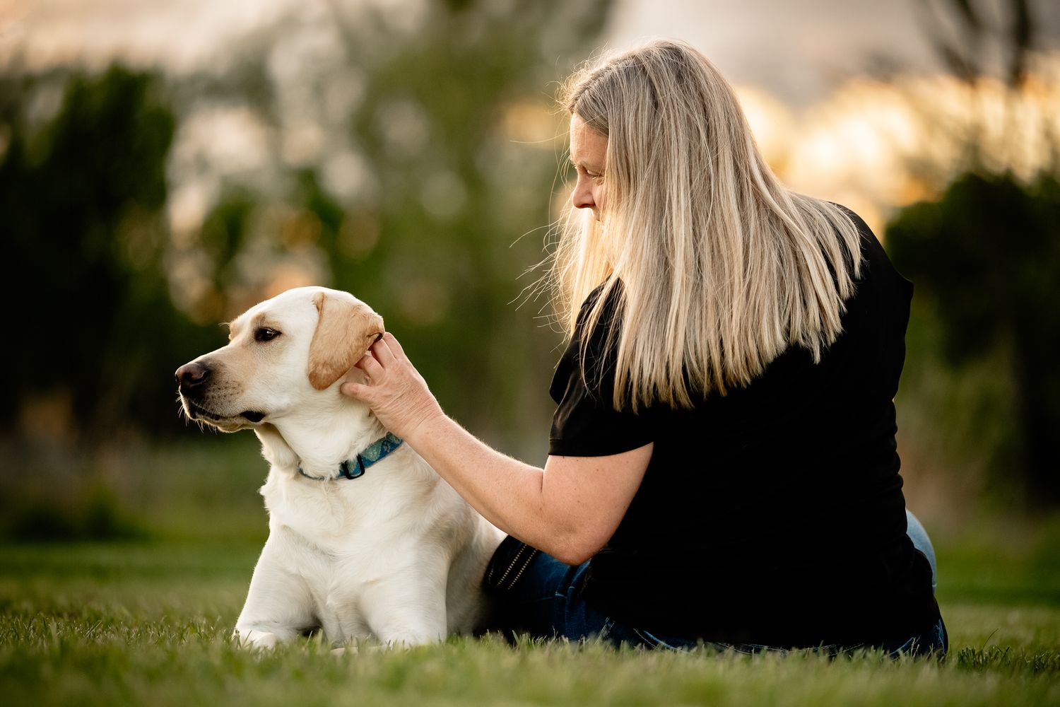 Woman with blonde hair petting a yellow Labrador Retriever on green grass at sunset during dog photo session in Plainfield, Indiana.