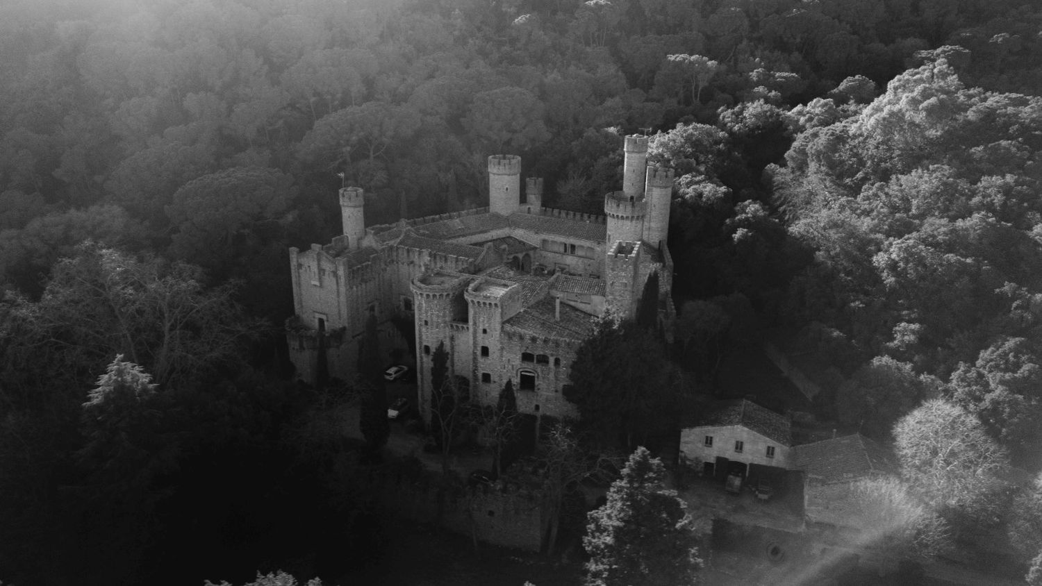 Aerial black and white photograph of a gothic castle nestled among dense forest trees.