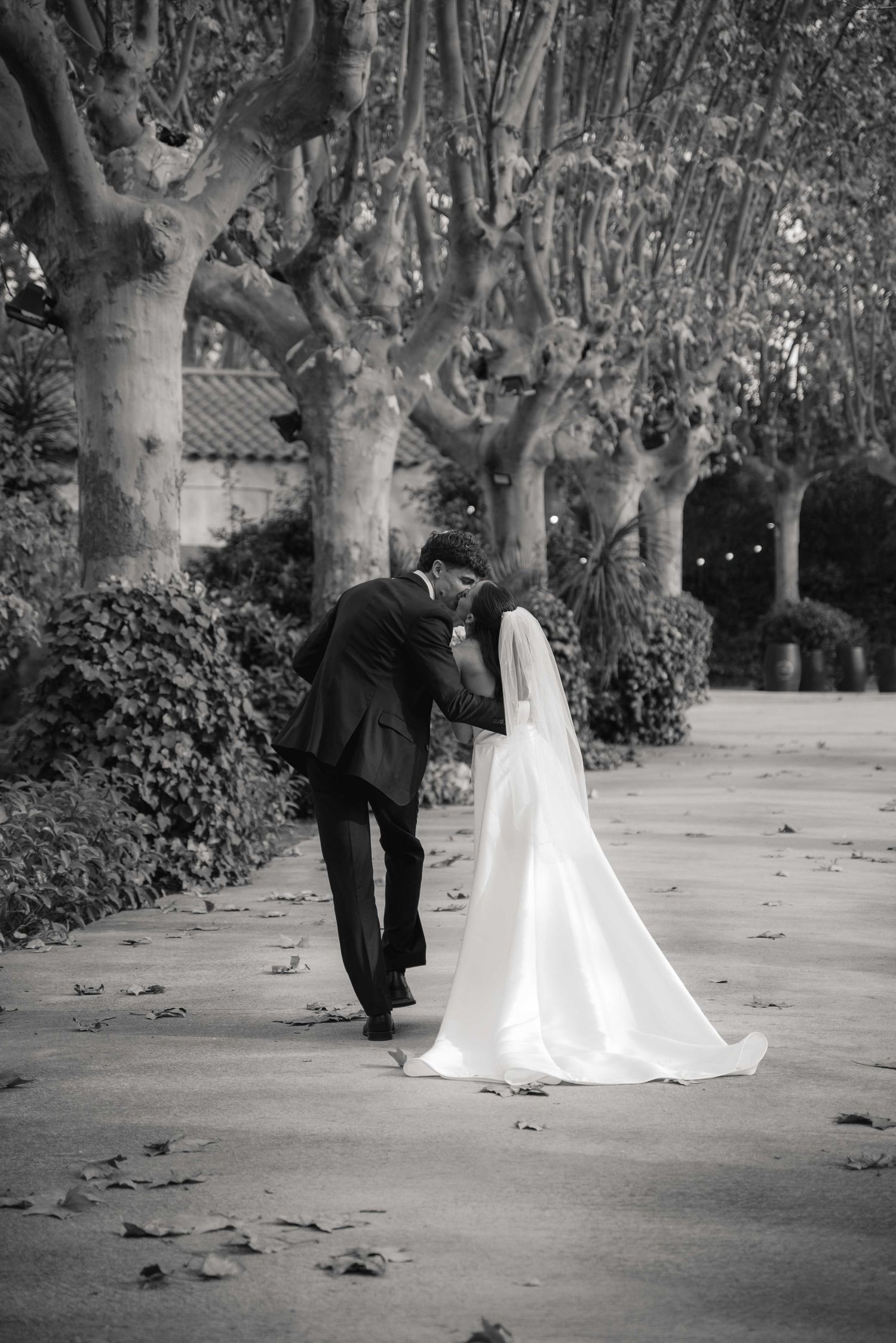 A romantic black and white wedding photo series showing a couple walking together under tree-lined path.