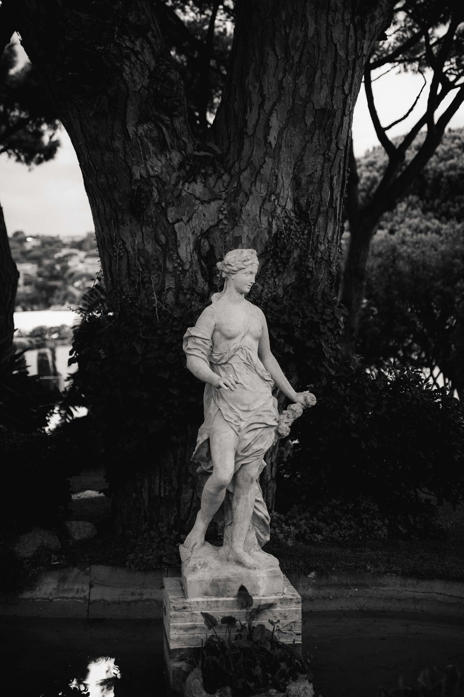 Black and white photo series of classical marble statues in a garden setting with trees and shadows.