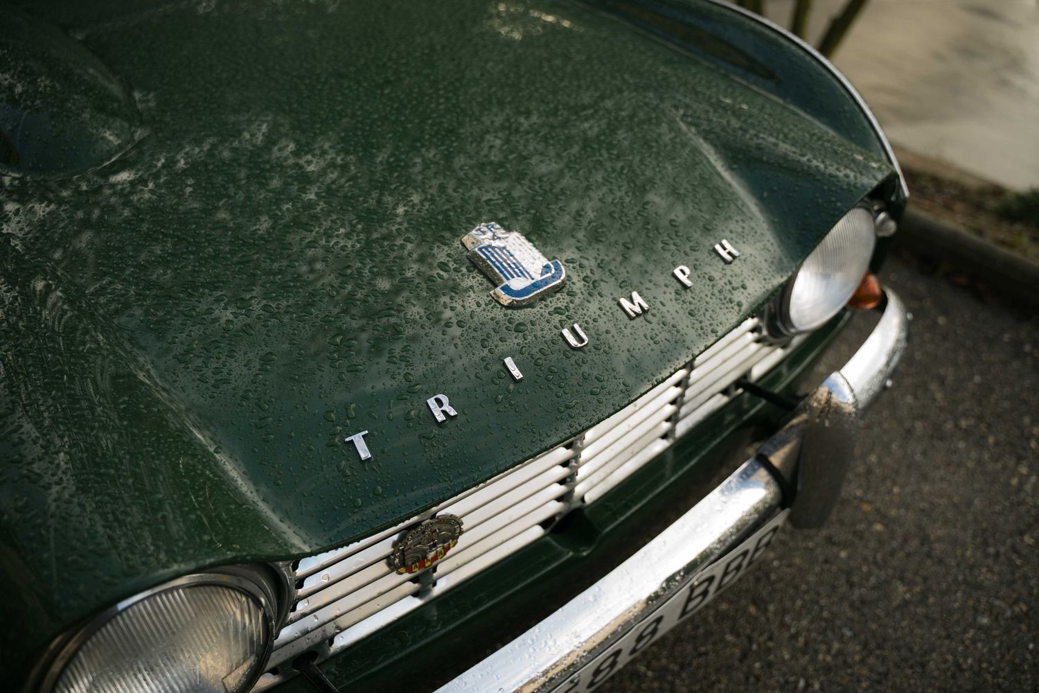 Close-up view of classic Triumph car hood ornament and emblem details against dark green paintwork.