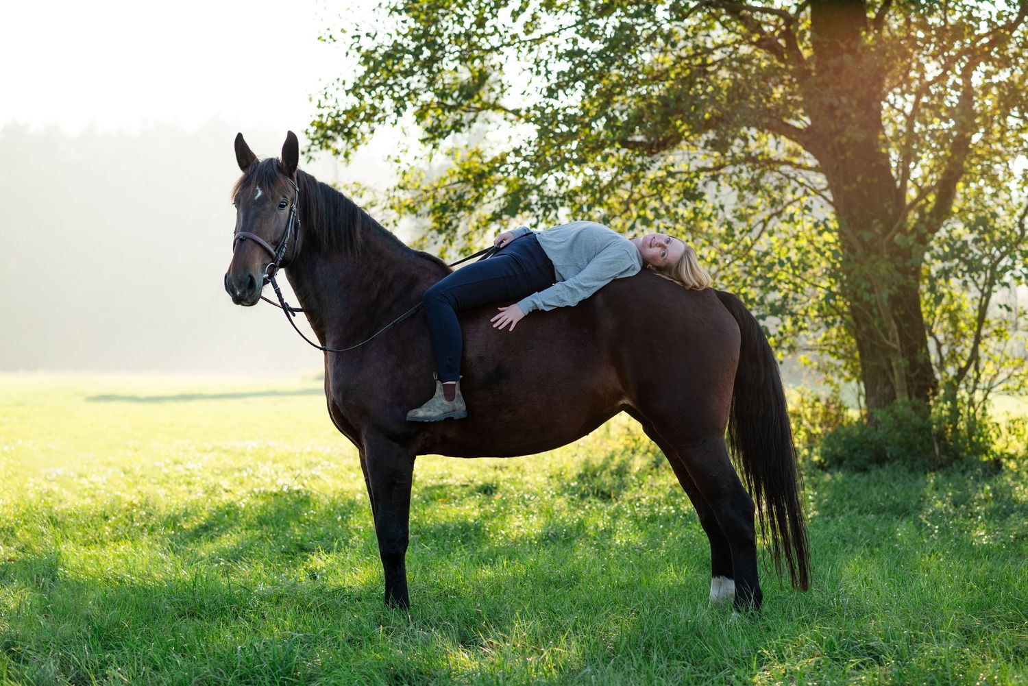 Sesja z koniem fotograf Poznań sesja konna koń konie zdjęcia atrium fitness i stajnia centrum Swarzędz KJ Byndas Horses prezent voucher