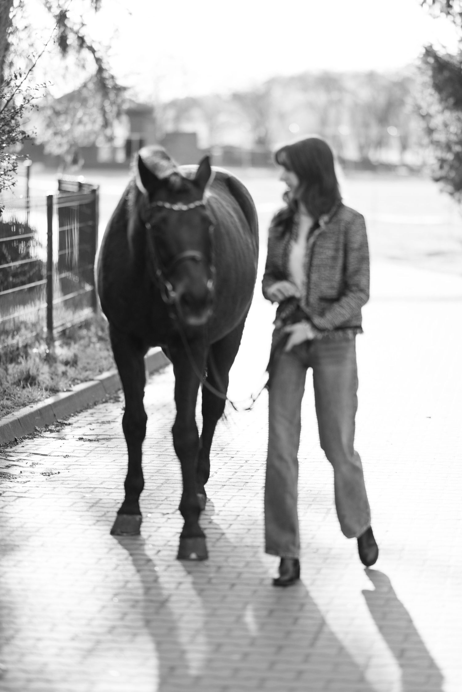sesja zdjęciowa z koniem fotograf poznań sesja konna paulina bodych fotografia koni jeździectwo centrum sportu atrium konie koń relacja