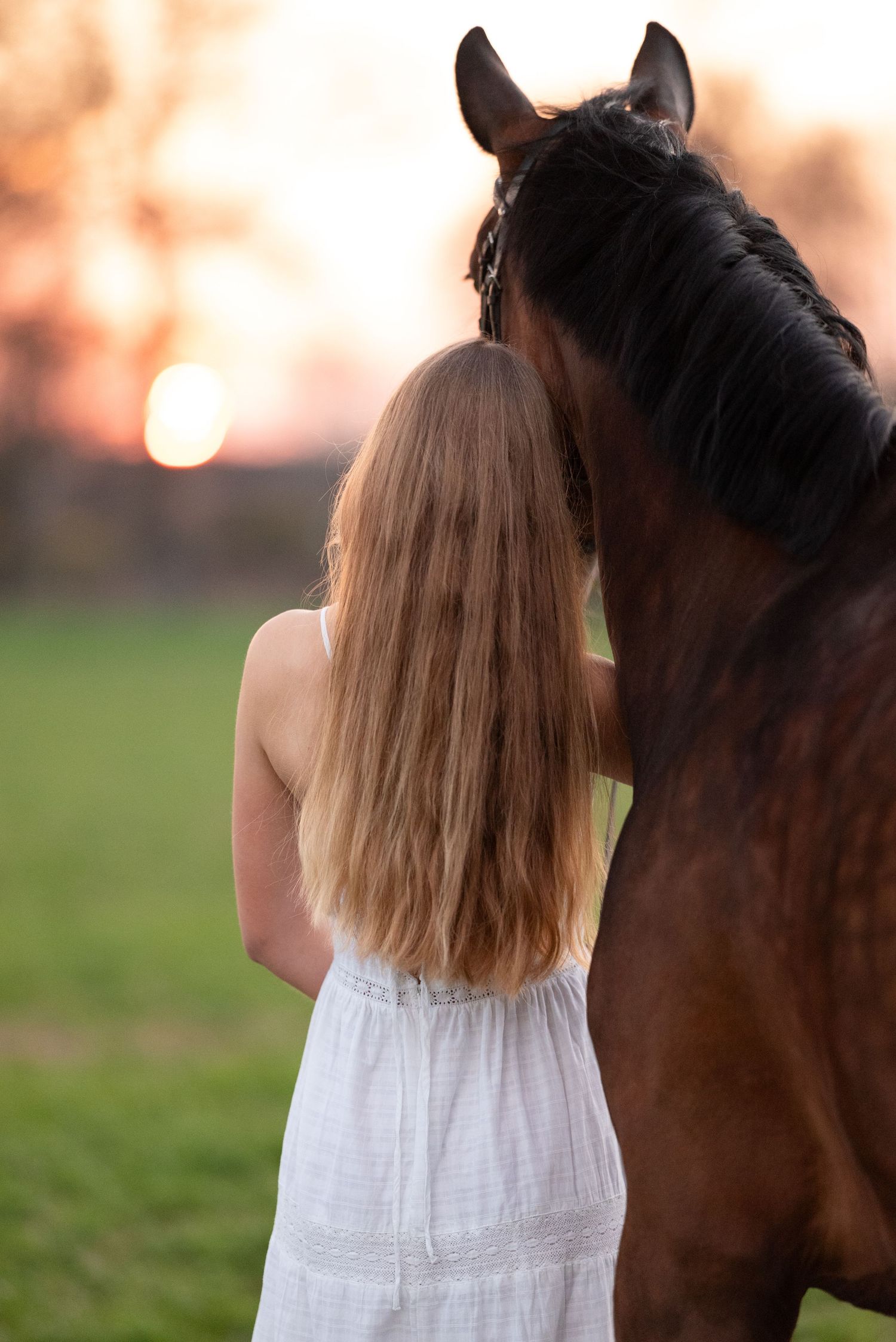 sesja zdjęciowa z koniem Julia parda klub jeździecki Agro handel olsza Śrem fotograf jeździecki konny paulina Bodych zdjęcia koni equestrian