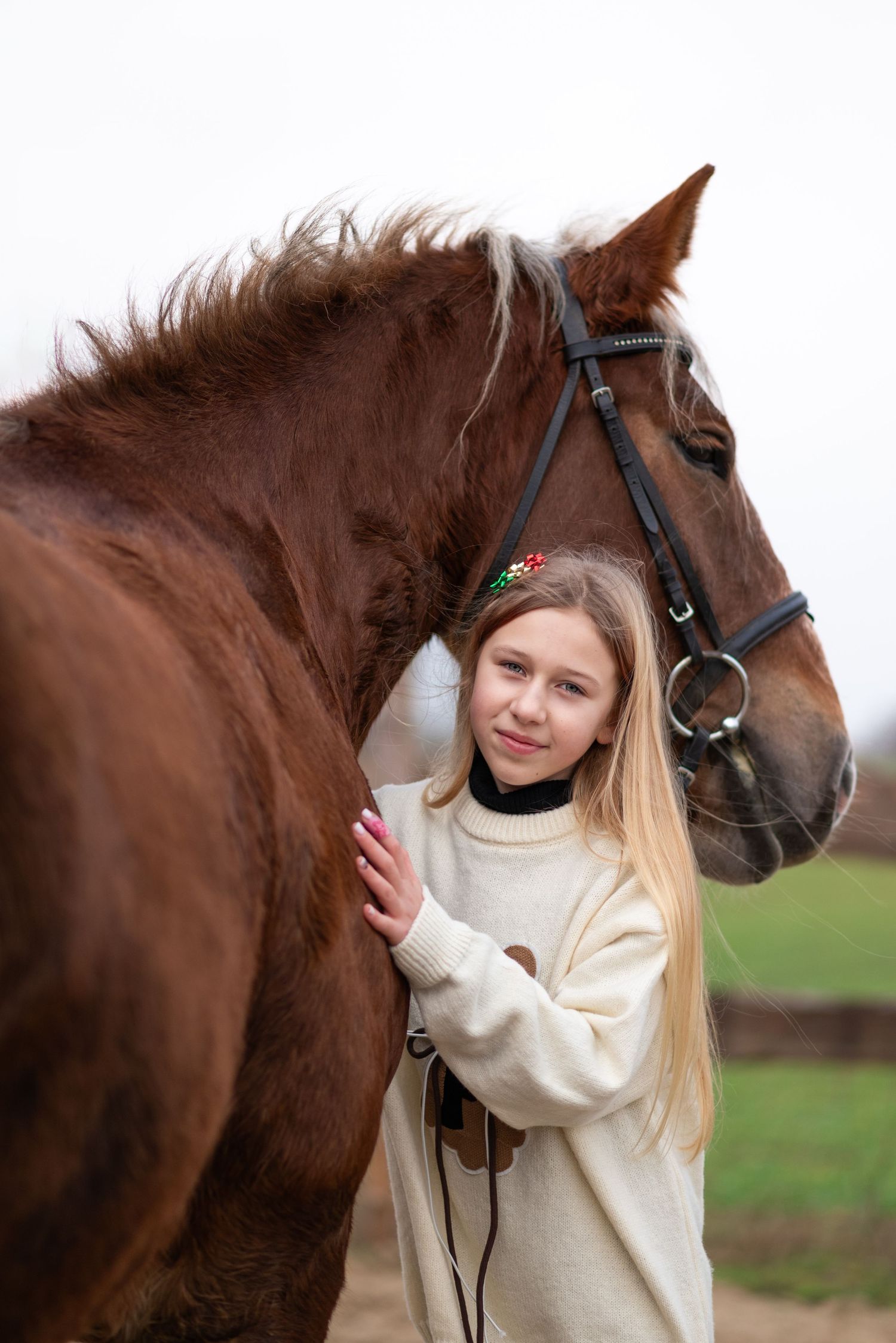 sesja zdjęciowa z koniem zimowa w śniegu mini sesja konna stajnia poznań tulce olimp sj paulina Bodych fotograf konne koń konie świąteczne