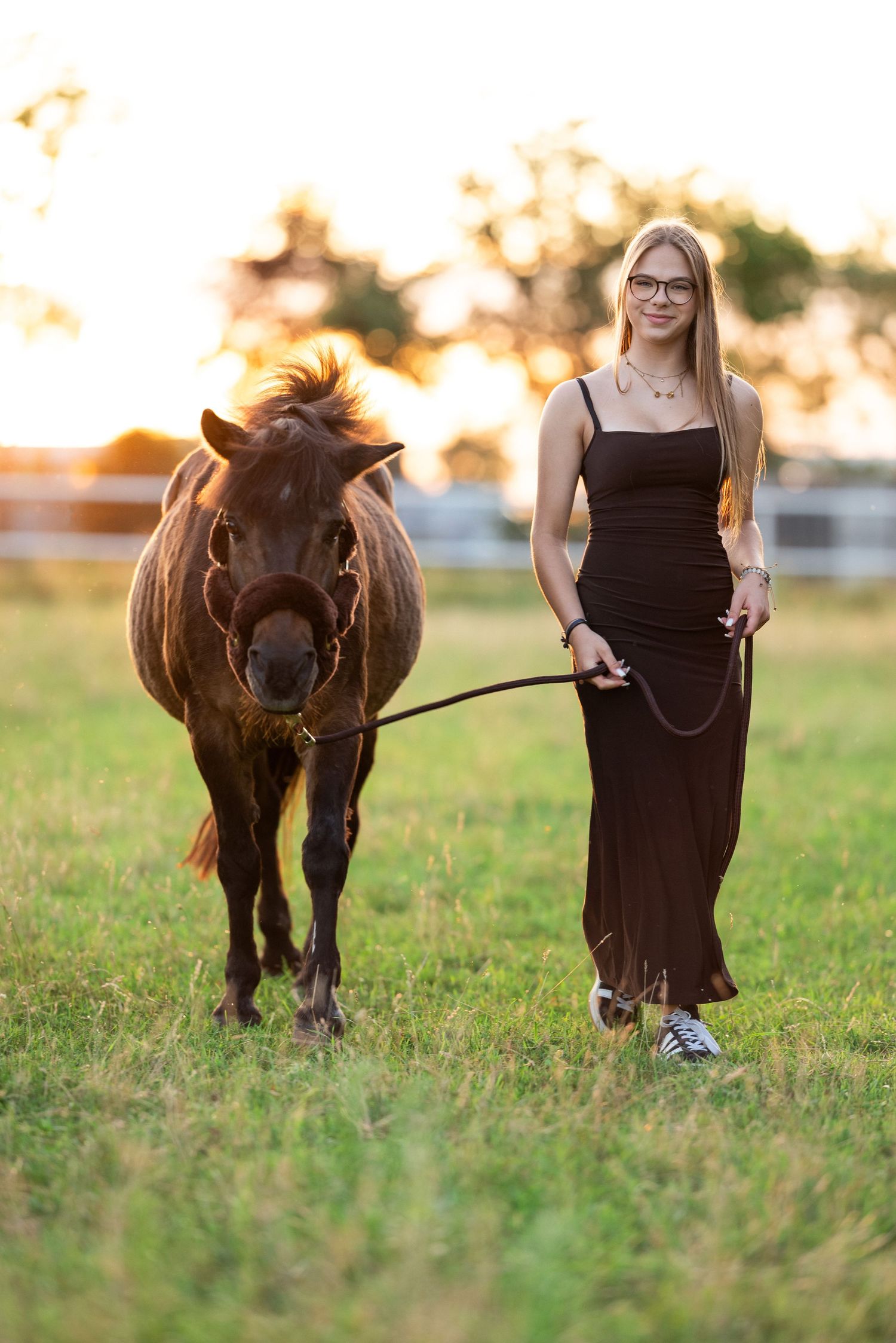 sesja zdjęciowa z koniem stajnia Kotowo fotograf poznań zdjęcia konie koń na padoku przy zachodzie słońca