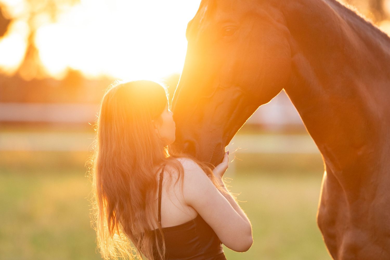 sesja zdjęciowa z koniem fotograf poznań sesja konna stajnia Kotowo zdjęcia koni pomysł na prezent konie koń Julia i contifax paulina Bodych