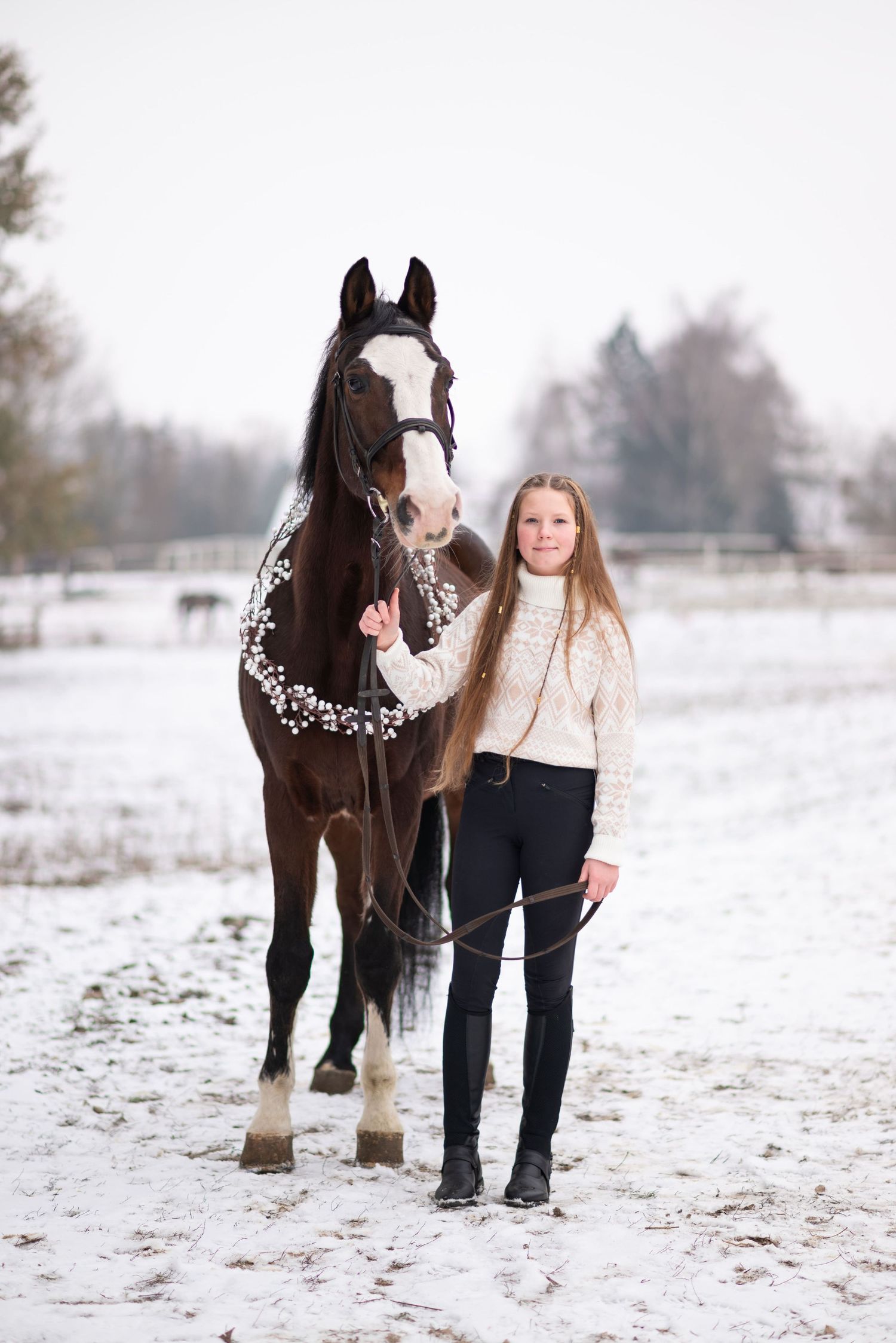 sesja zdjęciowa z koniem zimowa w śniegu mini sesja konna stajnia poznań atrium paulina Bodych fotograf konne koń konie swarzędz świąteczne
