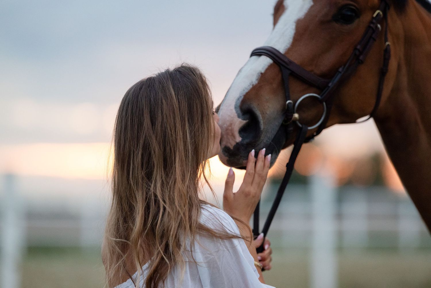sesja zdjęciowa z koniem fotograf Poznań paulina bodych stajnia ludwiczak nell sówka konna fotografia prezent koń equestrian photography