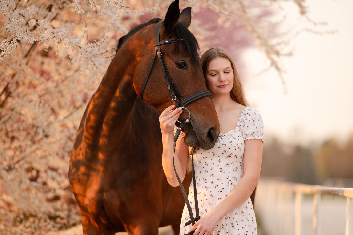 sesja zdjęciowa z koniem Julia parda klub jeździecki Agro handel olsza Śrem fotograf jeździecki konny paulina Bodych zdjęcia koni equestrian