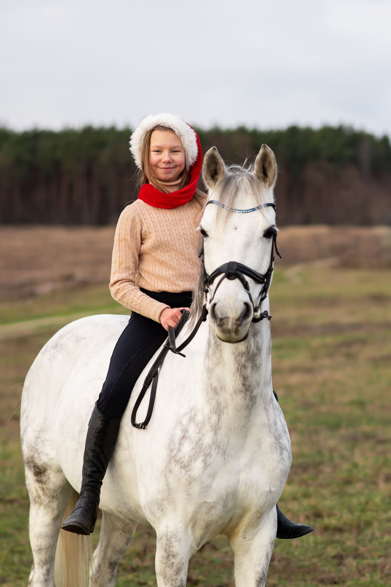 sesja konna z koniem Poznań stajnia Centrum sportu i Fitness atrium Swarzędz konie Podkowa Gruszczyn Wiktoria Cwalina Marchewka Horses Team