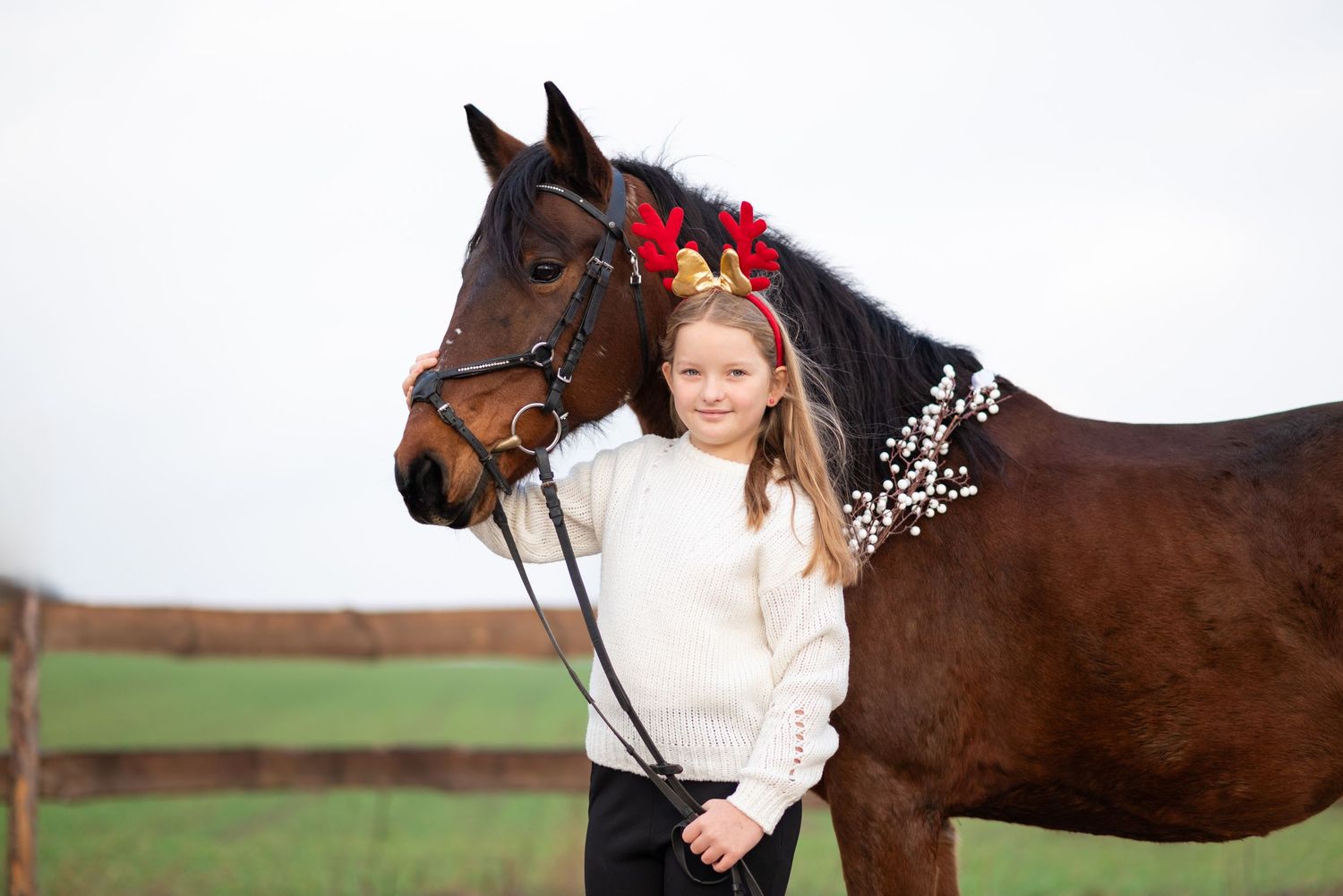 sesja zdjęciowa z koniem zimowa w śniegu mini sesja konna stajnia poznań tulce olimp sj paulina Bodych fotograf konne koń konie świąteczne