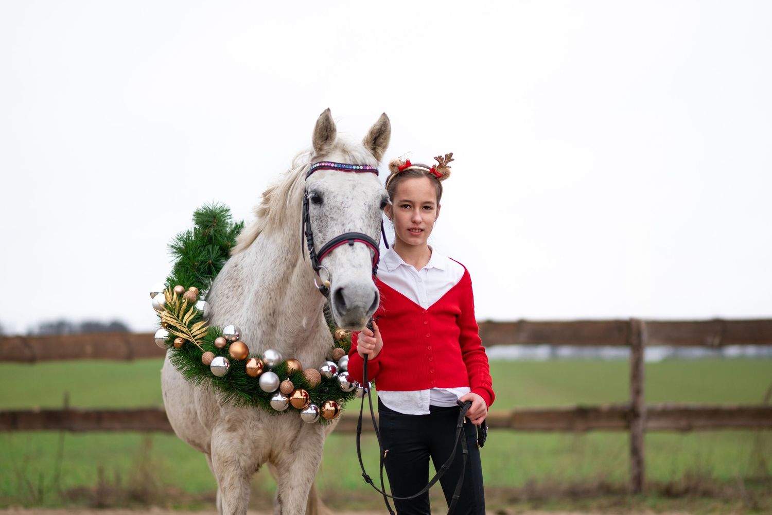 sesja zdjęciowa z koniem zimowa w śniegu mini sesja konna stajnia poznań tulce olimp sj paulina Bodych fotograf konne koń konie świąteczne