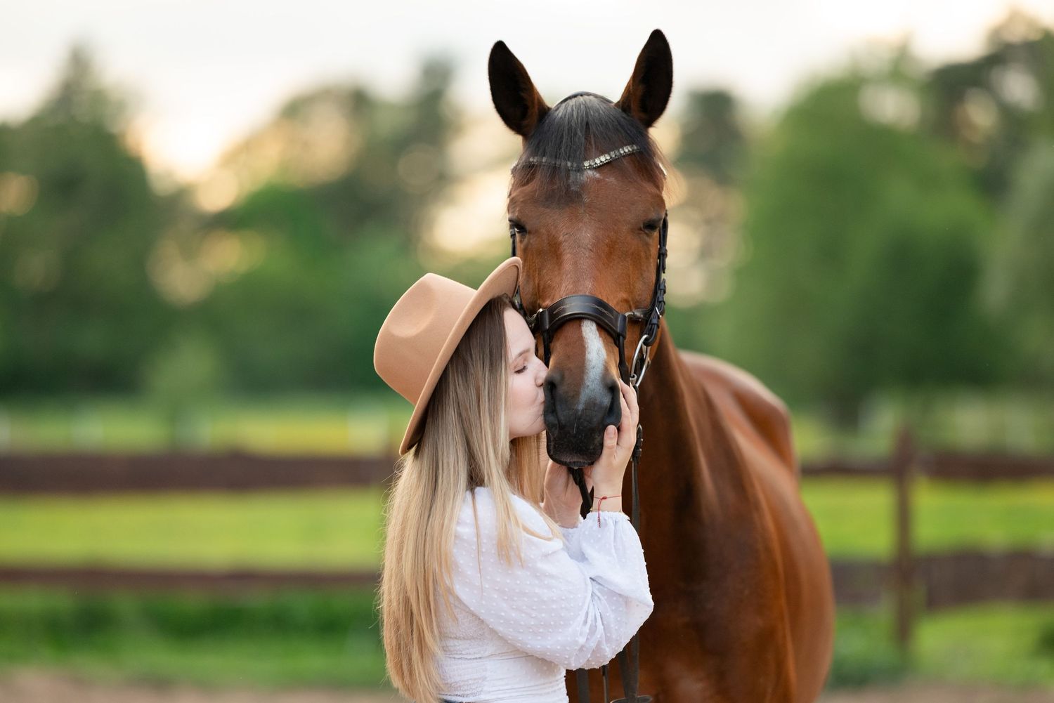 sesja zdjęciowa z koniem fotograf Poznań paulina bodych stajnia pobiedziska konna fotografia prezent koń equestrian photography