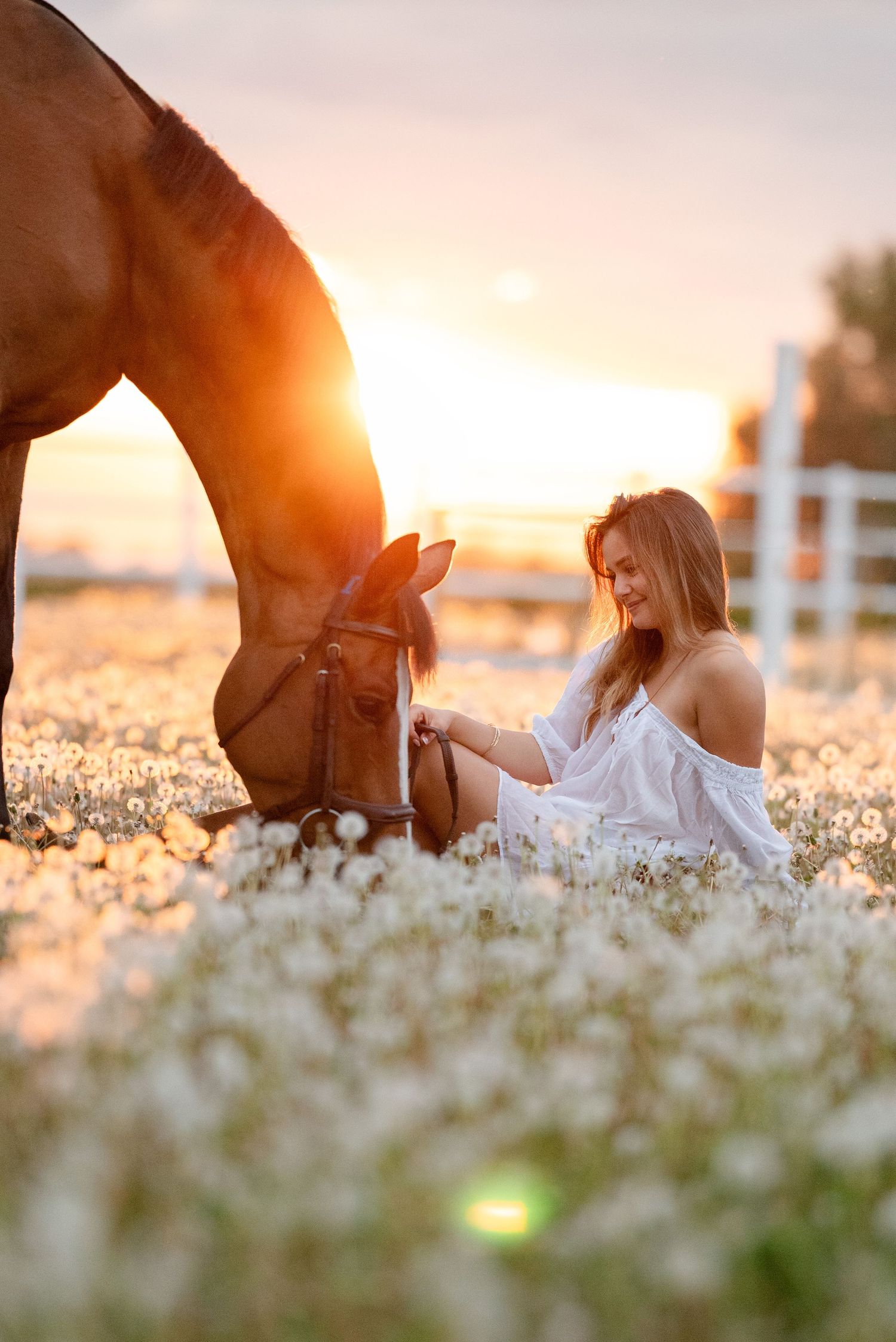 sesja zdjęciowa z koniem fotograf Poznań paulina bodych stajnia ludwiczak nell sówka konna fotografia prezent koń equestrian photography