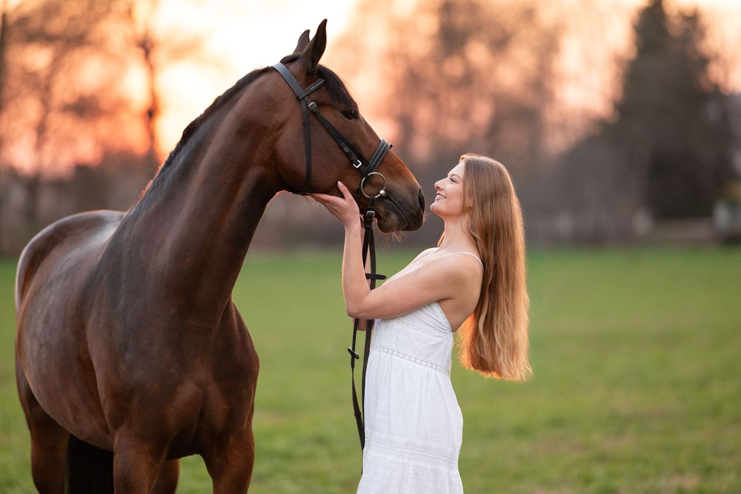 sesja zdjęciowa z koniem Julia parda klub jeździecki Agro handel olsza Śrem fotograf jeździecki konny paulina Bodych zdjęcia koni equestrian