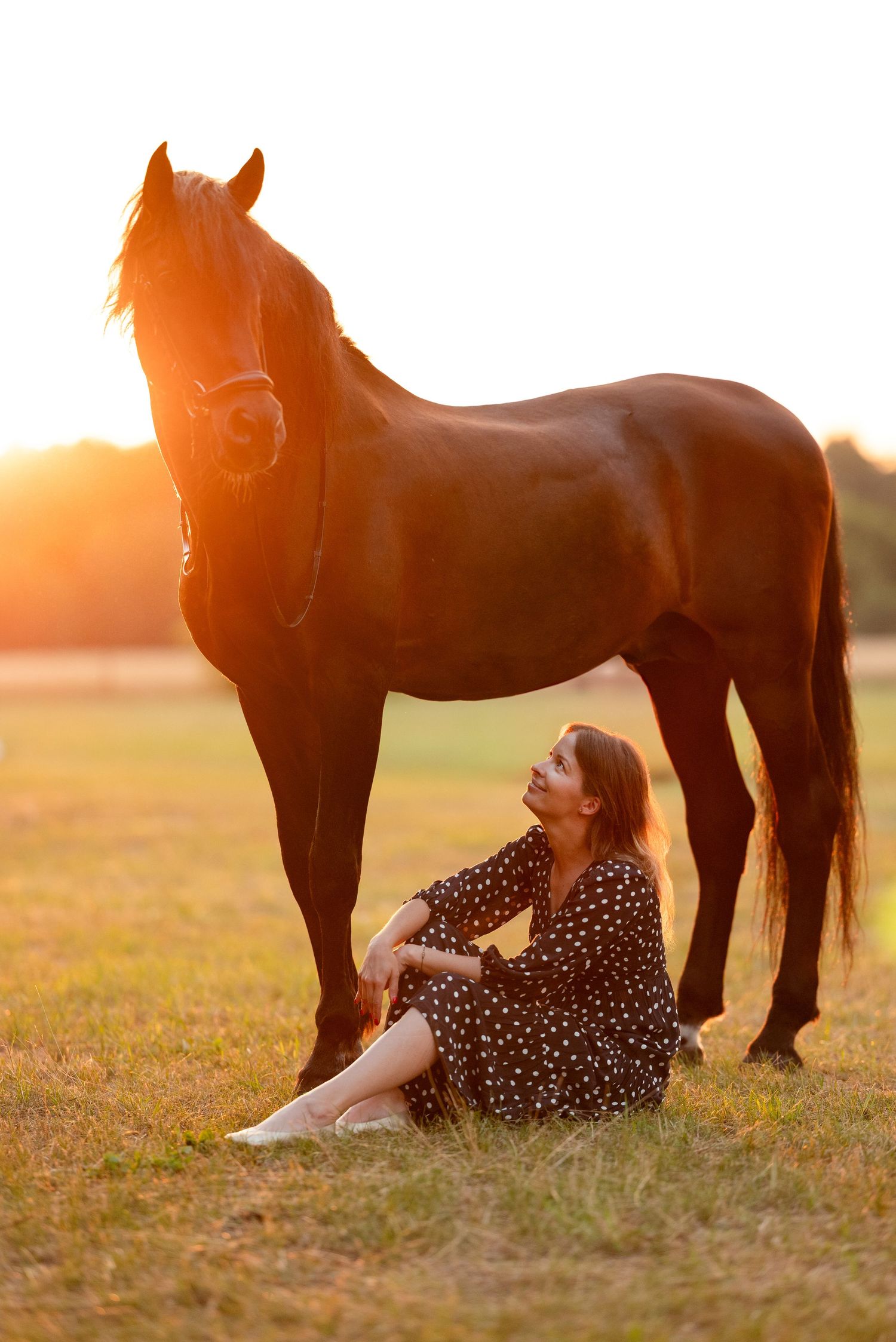 sesja zdjęciowa z koniem fotograf Poznań paulina bodych Aleksandra Szulc ska Golden dream konna fotografia prezent equestrian photography