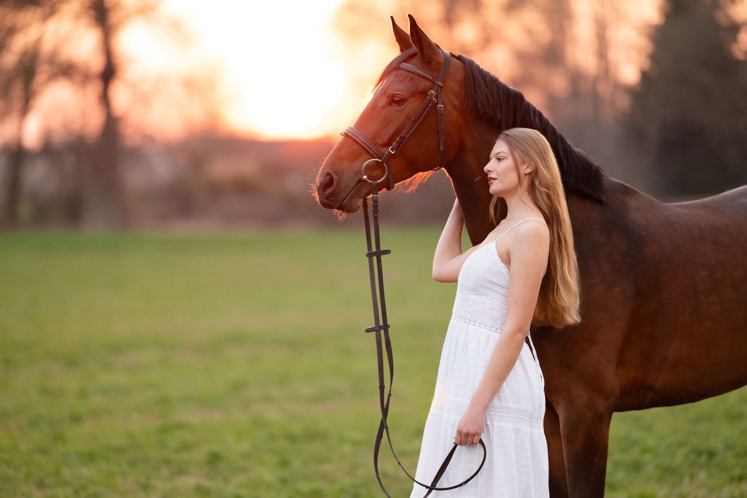 sesja zdjęciowa z koniem Julia parda klub jeździecki Agro handel olsza Śrem fotograf jeździecki konny paulina Bodych zdjęcia koni equestrian