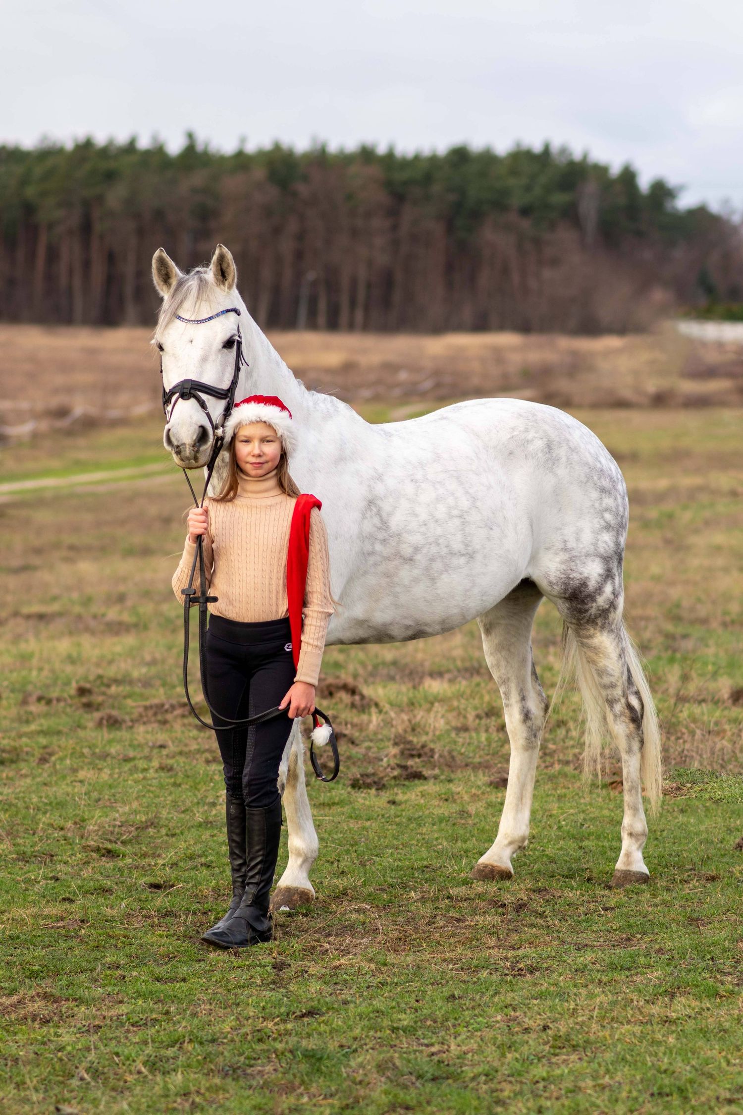 sesja konna z koniem Poznań stajnia Centrum sportu i Fitness atrium Swarzędz konie Podkowa Gruszczyn Wiktoria Cwalina Marchewka Horses Team