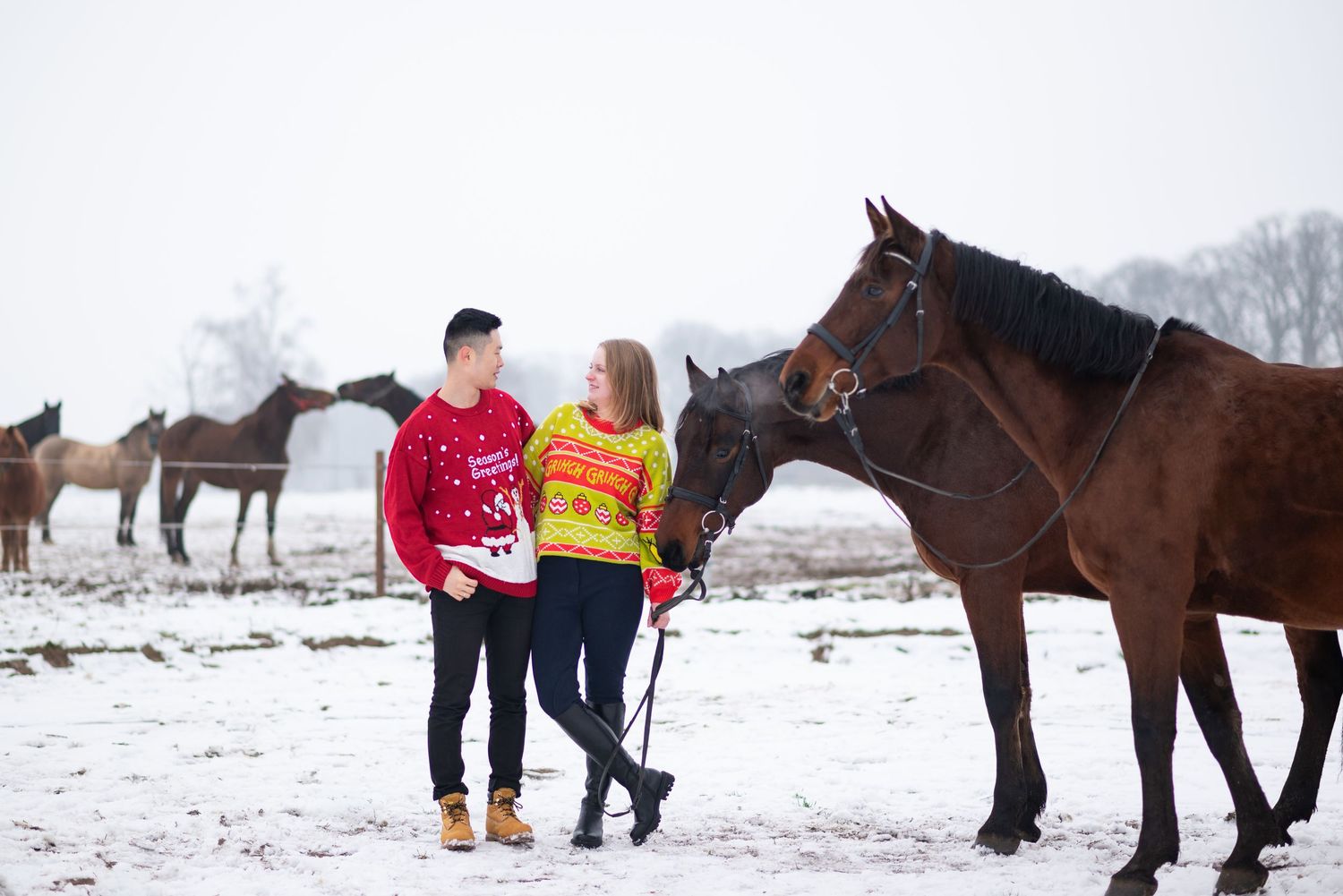 sesja zdjęciowa z koniem zimowa w śniegu mini sesja konna stajnia poznań atrium paulina Bodych fotograf konne koń konie swarzędz świąteczne