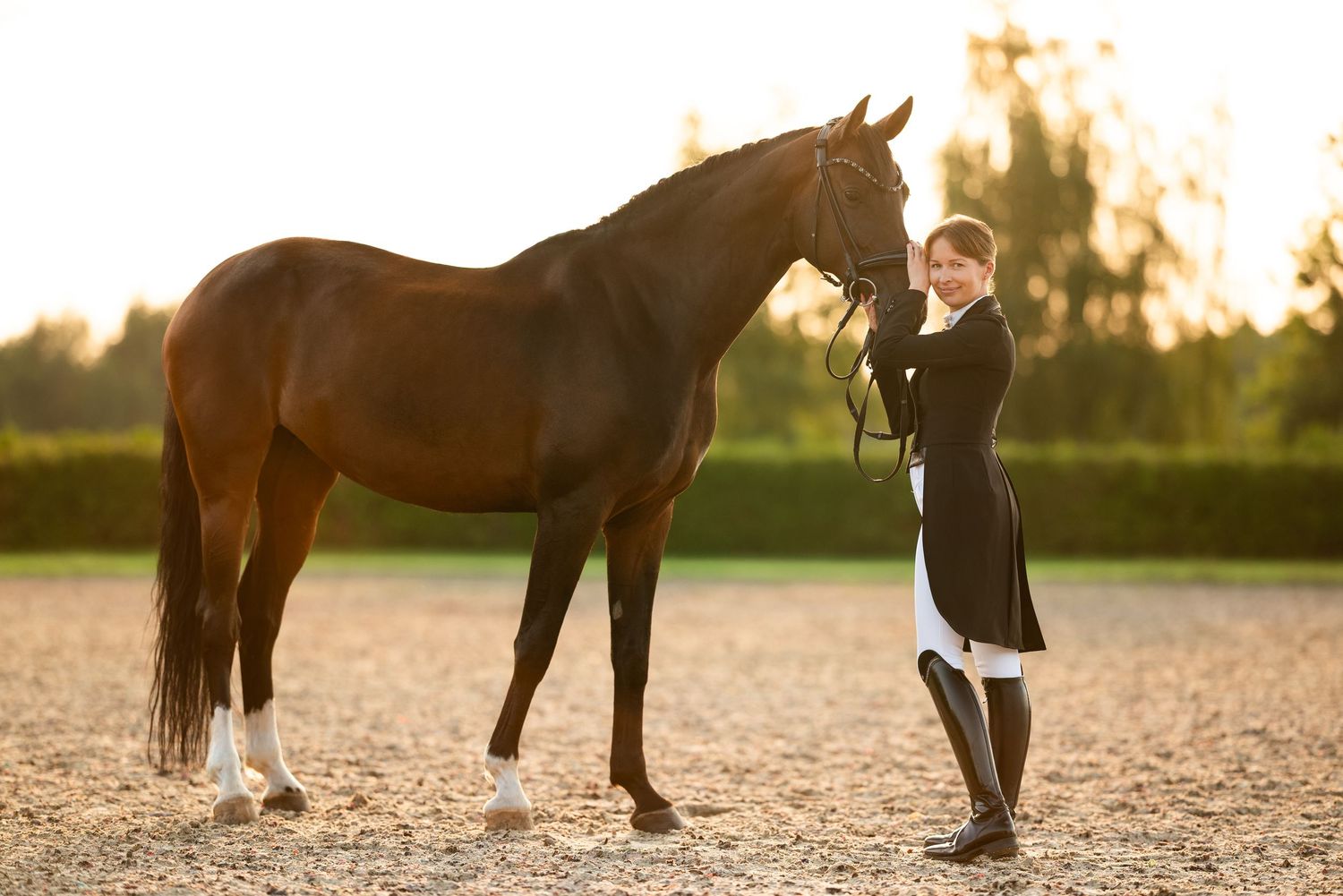 sesja zdjęciowa z koniem fotograf Poznań paulina bodych Aleksandra Szulc ska Golden dream konna fotografia prezent equestrian photography