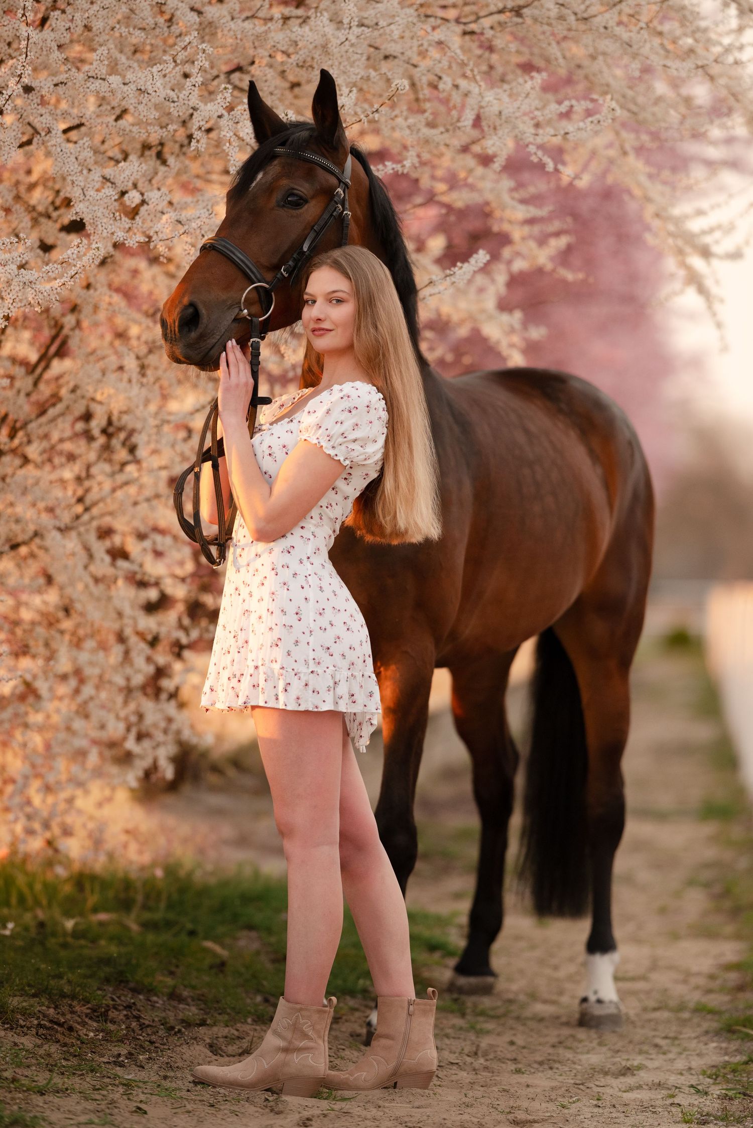 sesja zdjęciowa z koniem Julia parda klub jeździecki Agro handel olsza Śrem fotograf jeździecki konny paulina Bodych zdjęcia koni equestrian