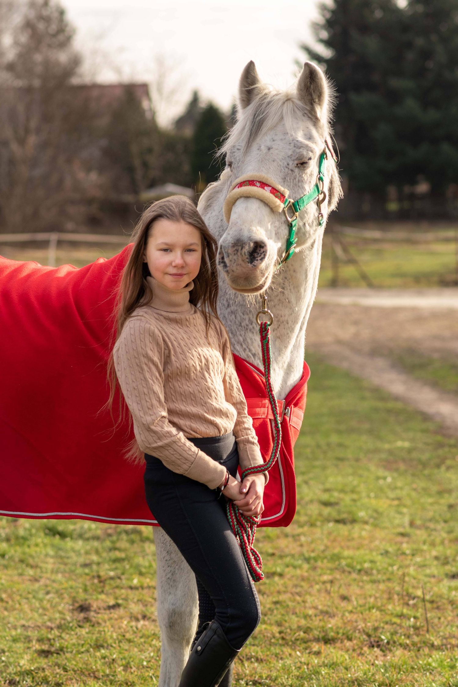sesja konna z koniem Poznań stajnia Centrum sportu i Fitness atrium Swarzędz konie Podkowa Gruszczyn Wiktoria Cwalina Marchewka Horses Team