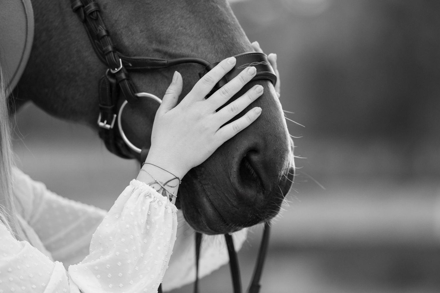 quatro ośrodek jeździecki pobiedziska sesja zdjęciowa z koniem konna Martyna i indygo konie Horses eqeuetsrian paulina Bodych fotografia
