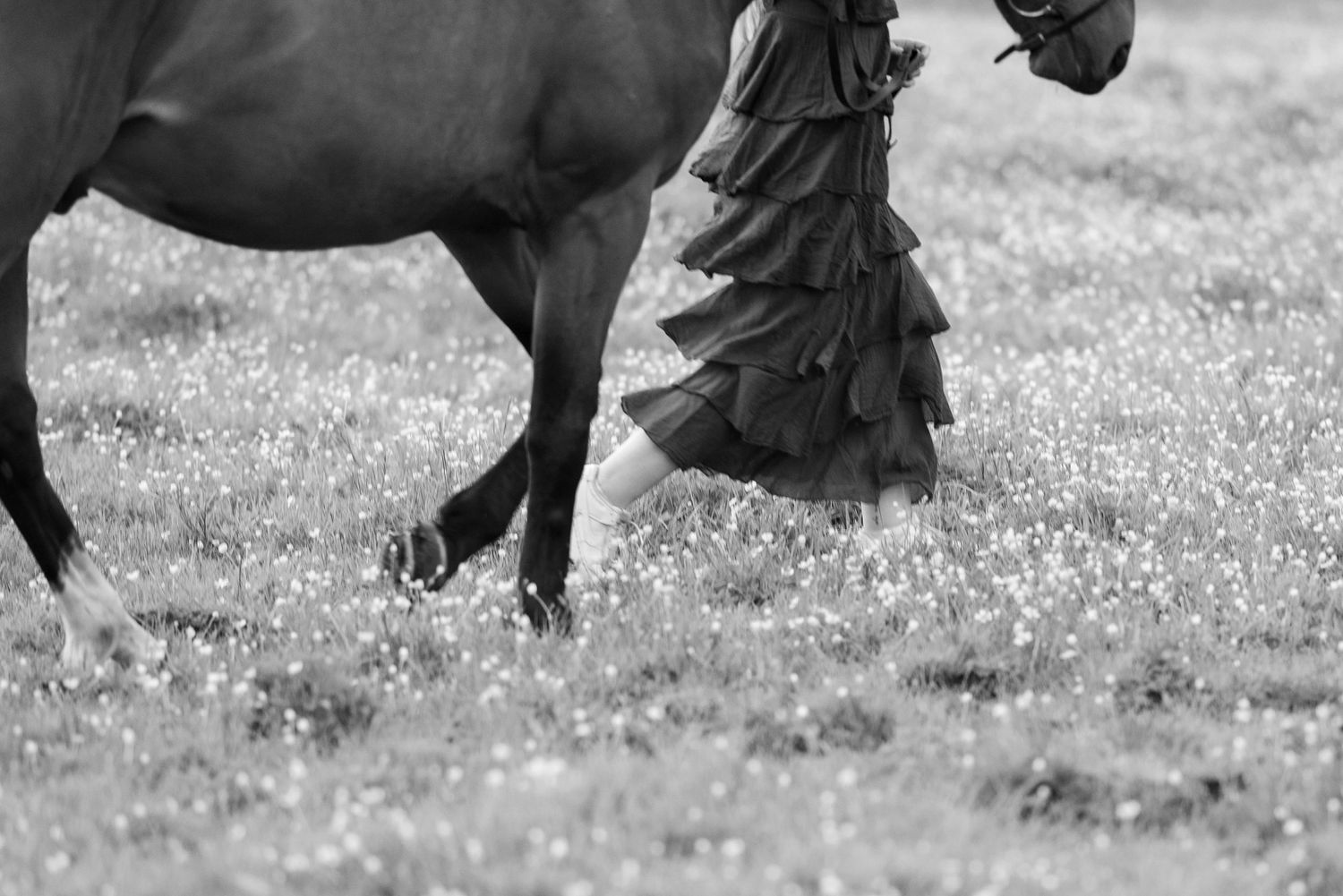 sesja zdjęciowa z koniem fotograf Poznań paulina bodych stajnia pobiedziska konna fotografia prezent koń equestrian photography