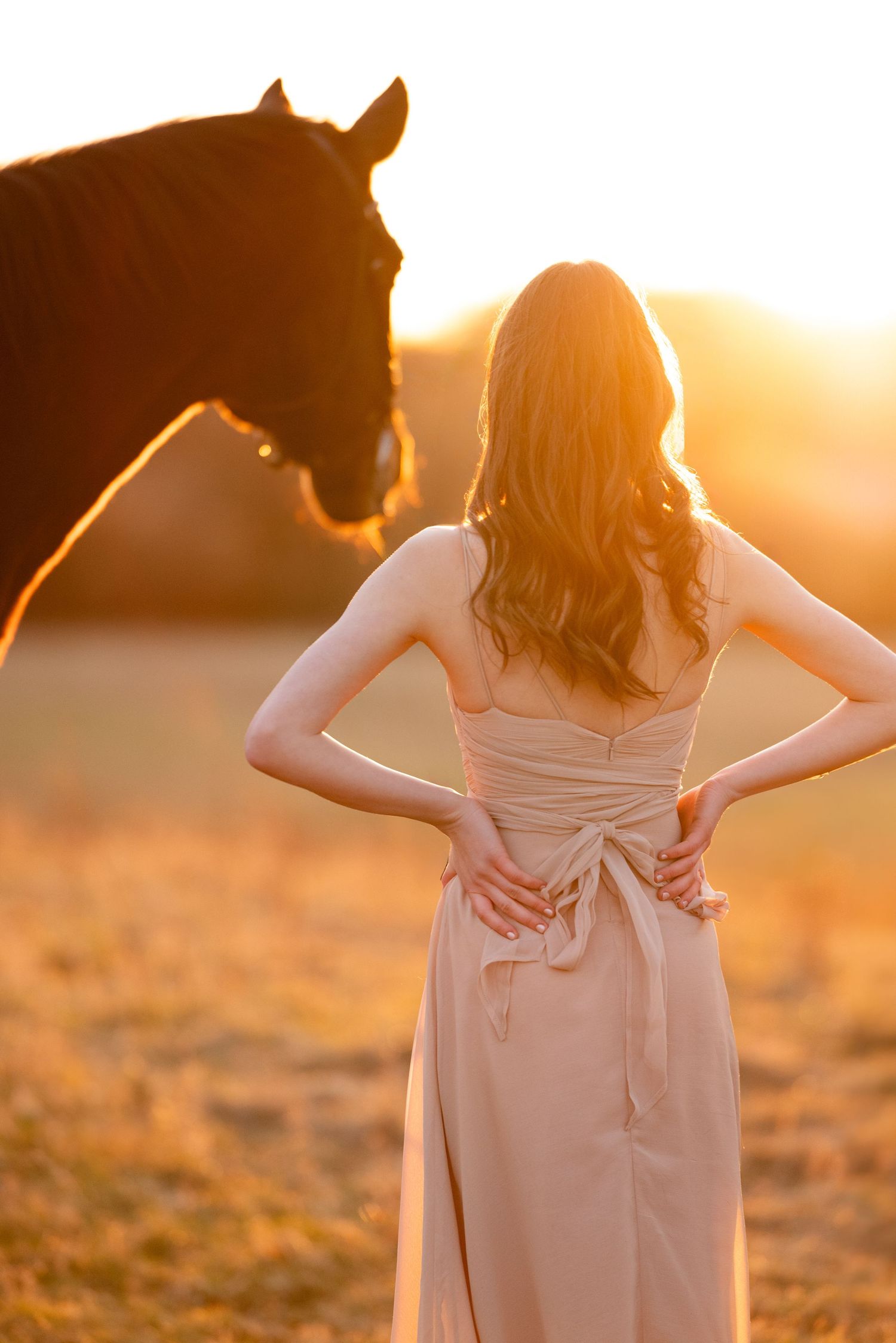 sesja zdjęciowa z koniem fotograf poznań sesja konna paulina bodych fotografia koni jeździectwo centrum sportu atrium konie koń relacja