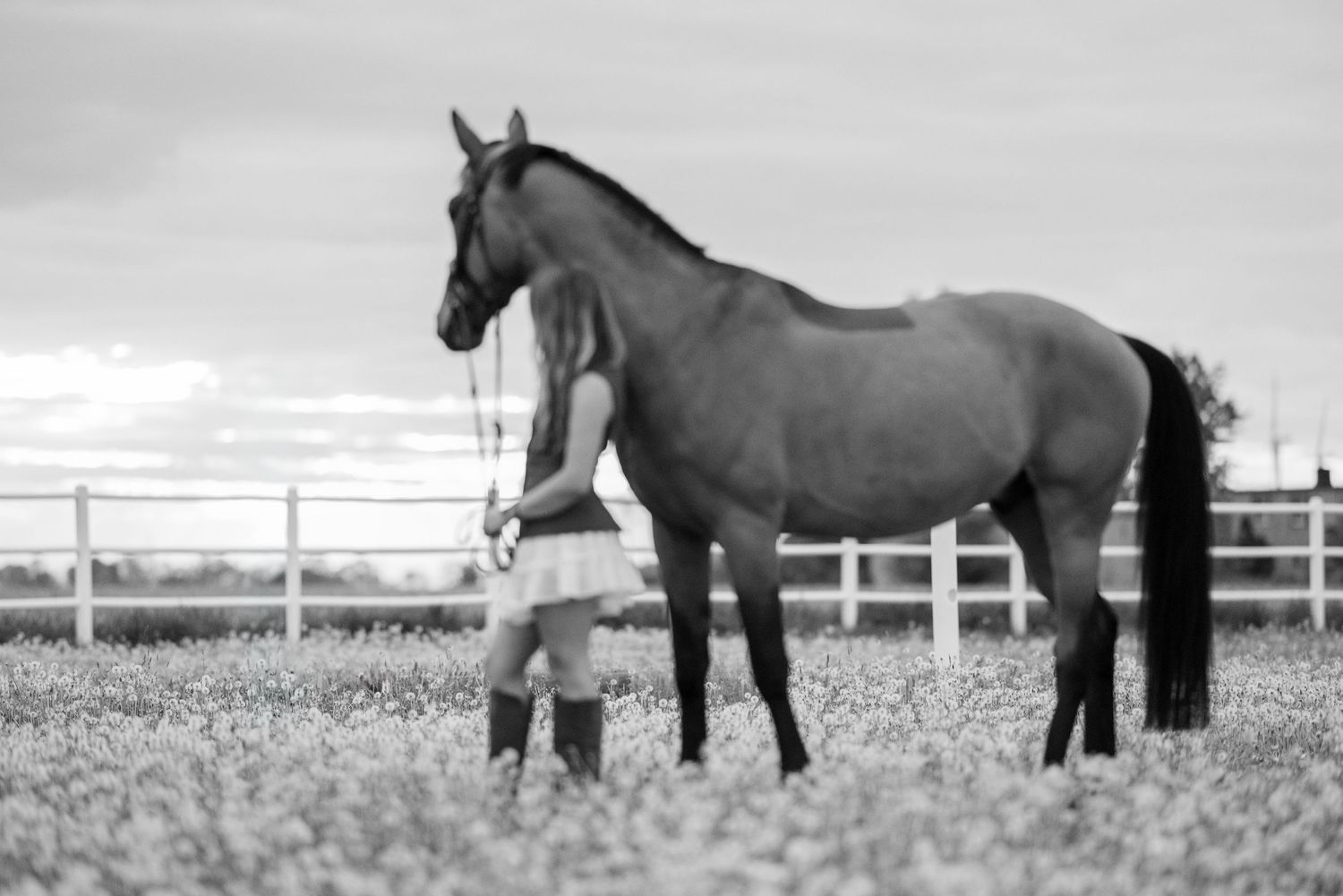 sesja zdjęciowa z koniem fotograf Poznań paulina bodych stajnia ludwiczak nell sówka konna fotografia prezent koń equestrian photography