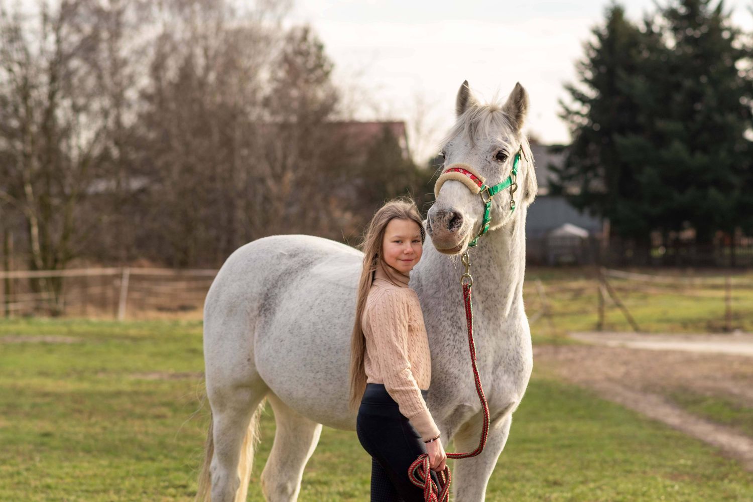 sesja konna z koniem Poznań stajnia Centrum sportu i Fitness atrium Swarzędz konie Podkowa Gruszczyn Wiktoria Cwalina Marchewka Horses Team