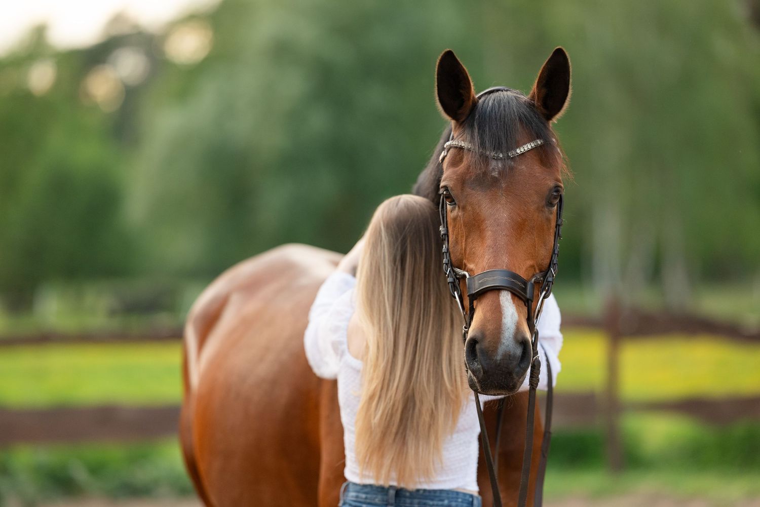 quatro ośrodek jeździecki pobiedziska sesja zdjęciowa z koniem konna Martyna i indygo konie Horses eqeuetsrian paulina Bodych fotografia