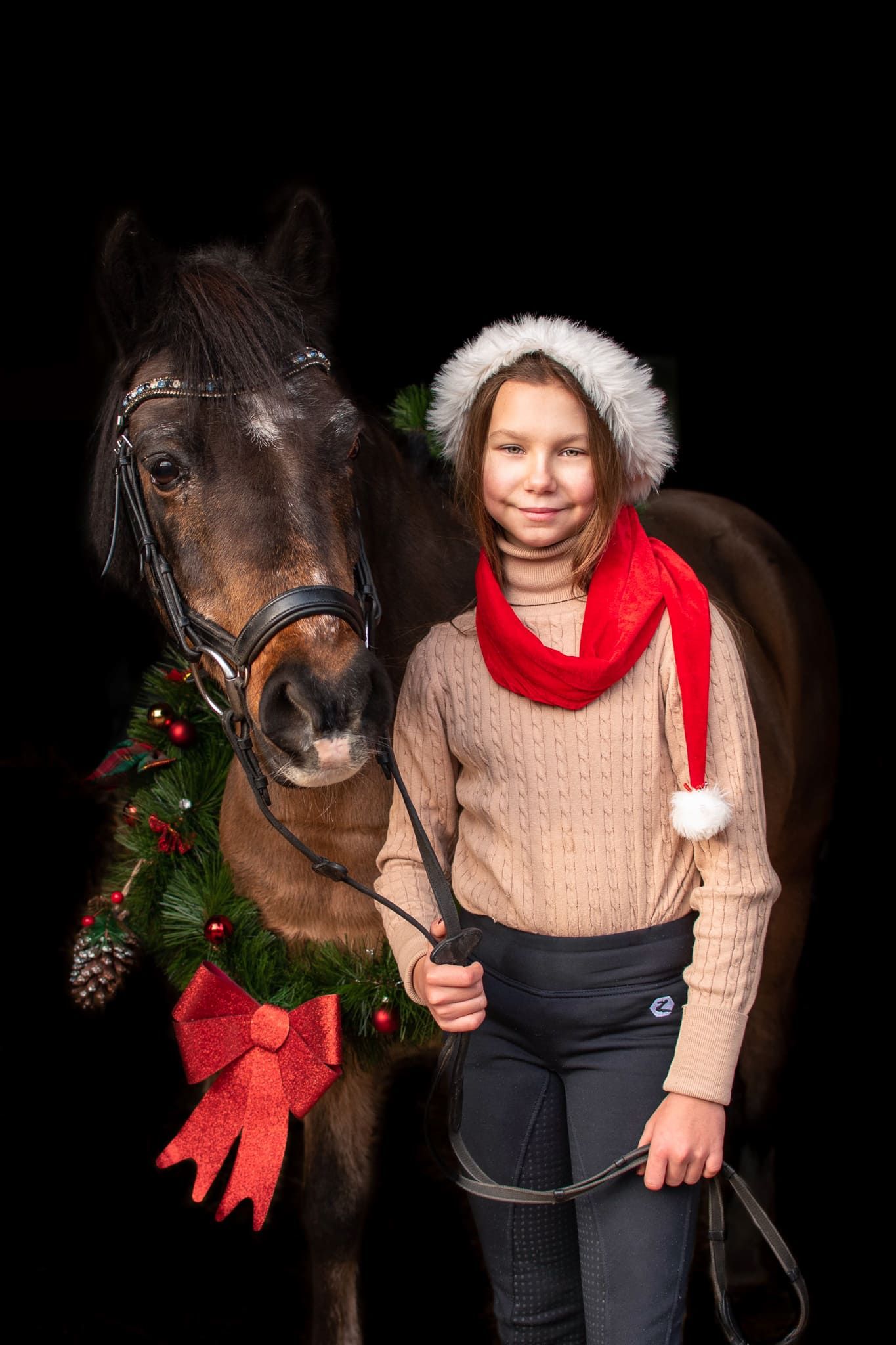 sesja konna z koniem Poznań stajnia Centrum sportu i Fitness atrium Swarzędz konie Podkowa Gruszczyn Wiktoria Cwalina Marchewka Horses Team